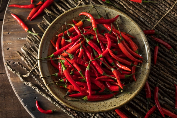 Canon EF 100mm F2.8L Macro IS USM sample photo. Raw organic red thai peppers photography