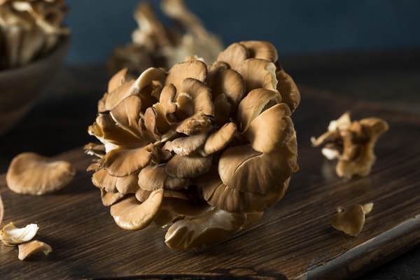 Canon EF 100mm F2.8L Macro IS USM sample photo. Raw organic maitake mushrooms photography
