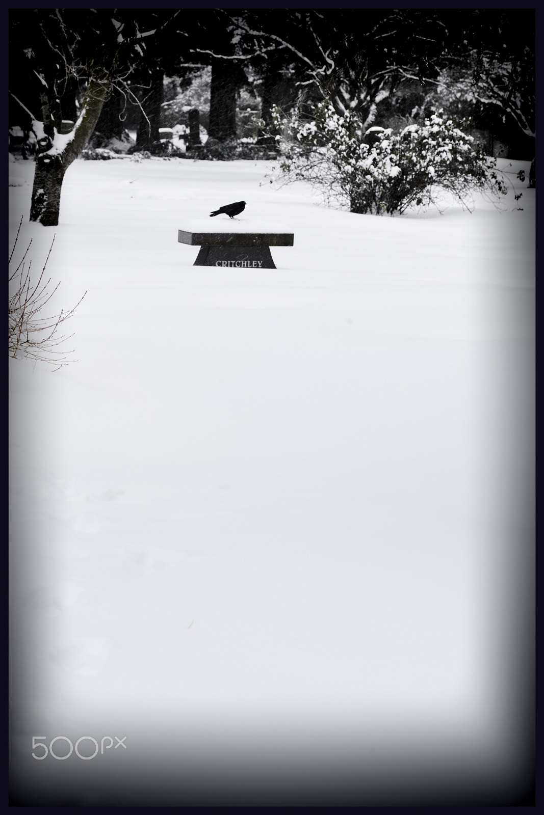 Canon EOS 5D Mark II sample photo. Winter silence photography