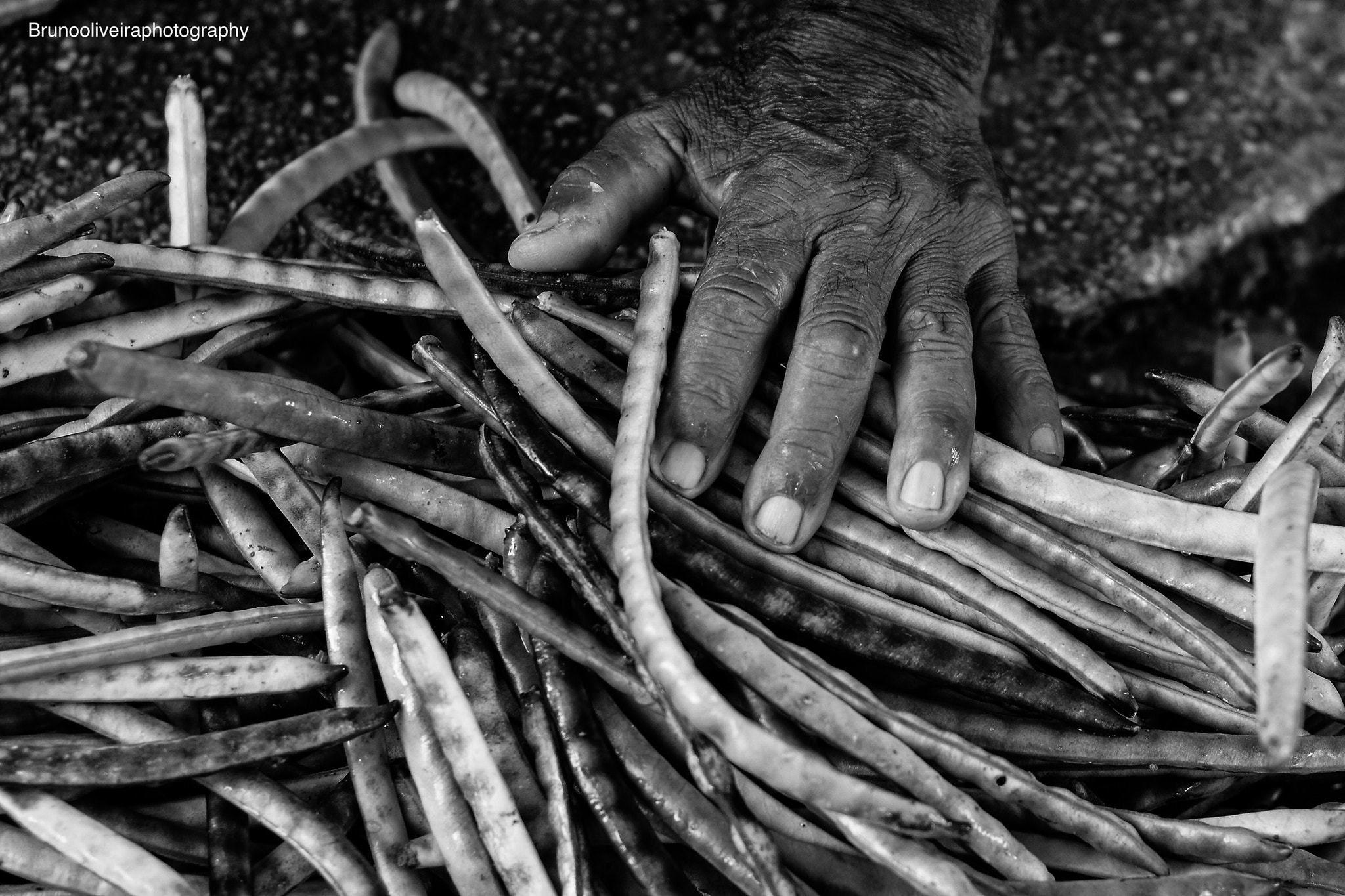 Nikon AF Nikkor 50mm F1.8D sample photo. Farmer's hands  photography
