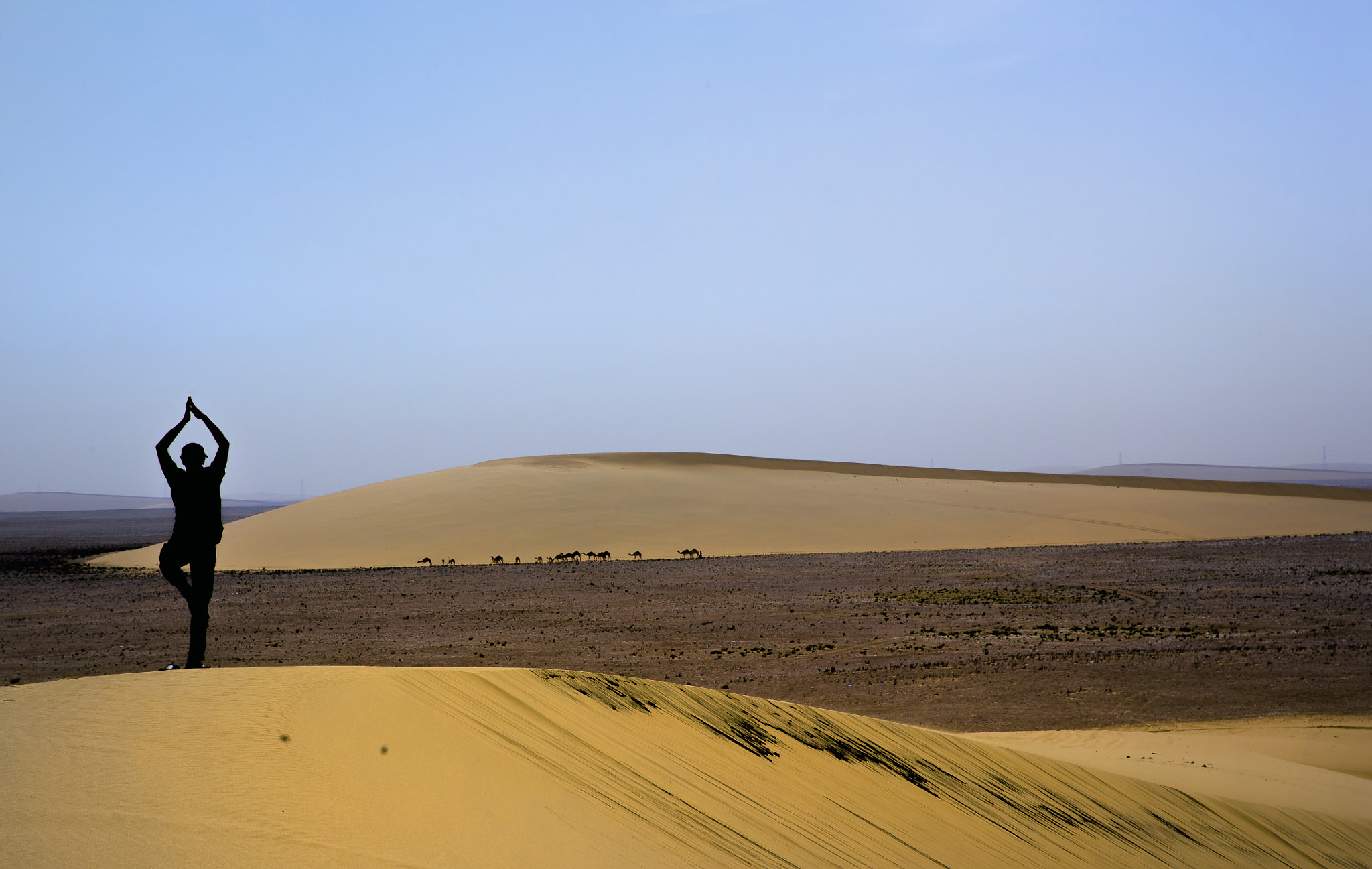 Canon EF 24-70mm F2.8L II USM sample photo. Sooryanamaskar photography