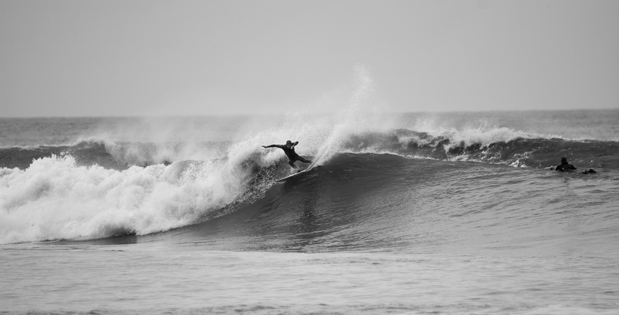 Sigma 150-500mm F5-6.3 DG OS HSM sample photo. Dabbing on the forehand photography
