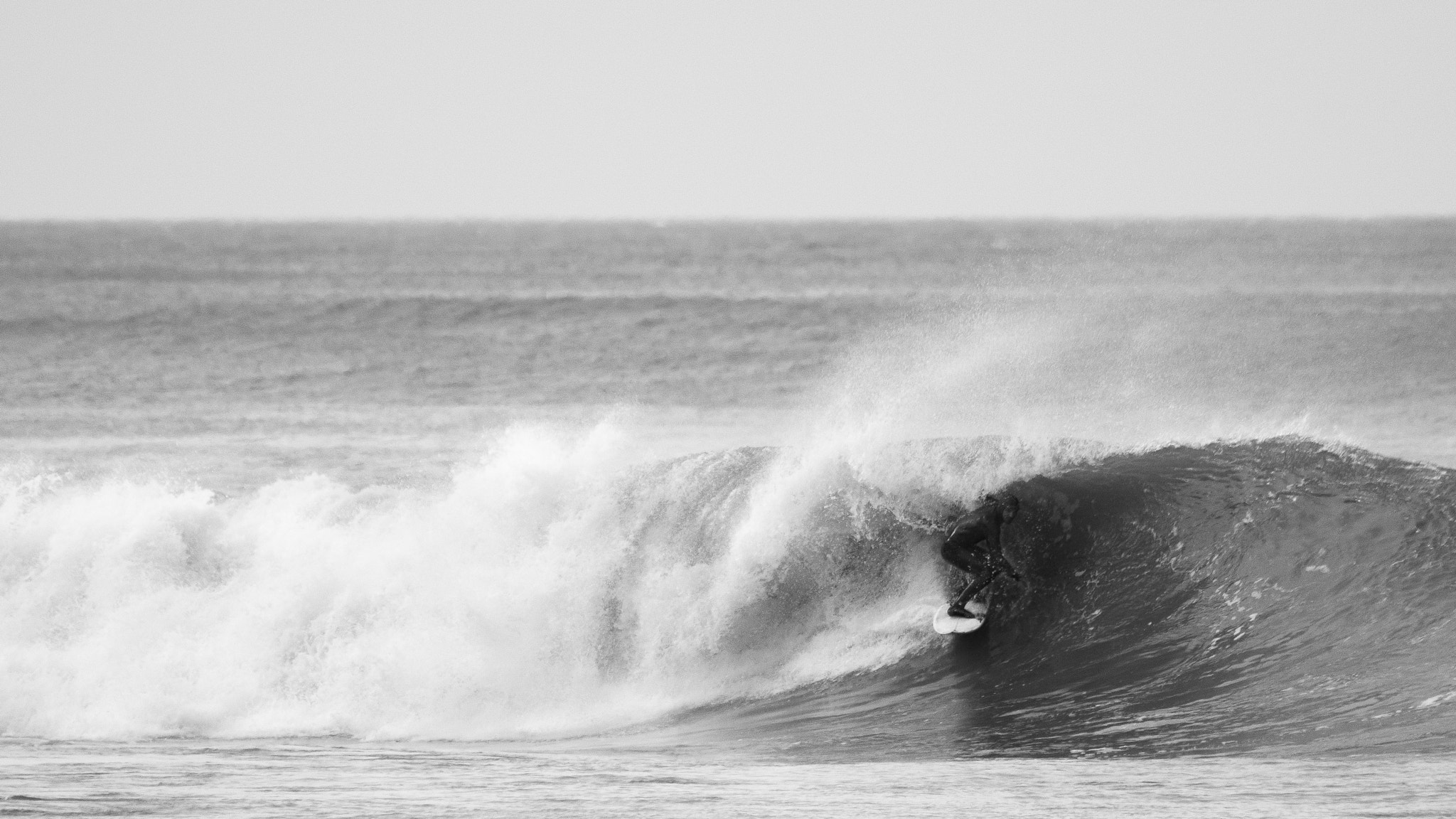 Sigma 150-500mm F5-6.3 DG OS HSM sample photo. Finding a little cover photography
