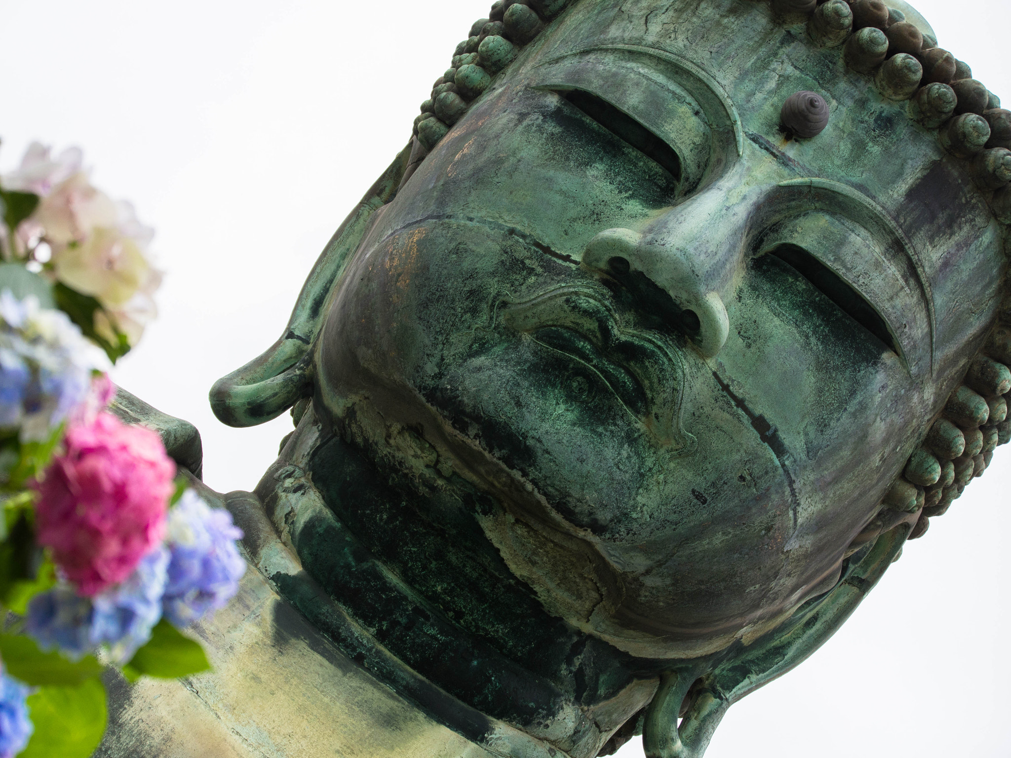 Olympus OM-D E-M10 + Tamron 14-150mm F3.5-5.8 Di III sample photo. Buddha with flowers photography