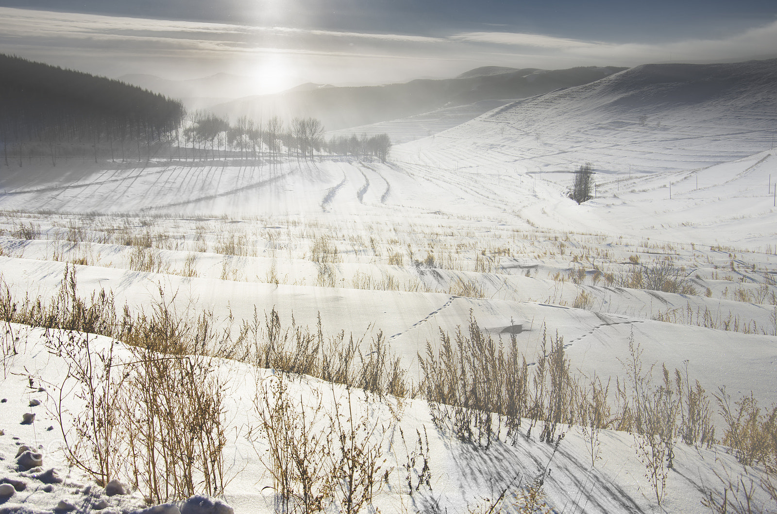 Pentax K-5 sample photo. Warmth in the chilly hills photography