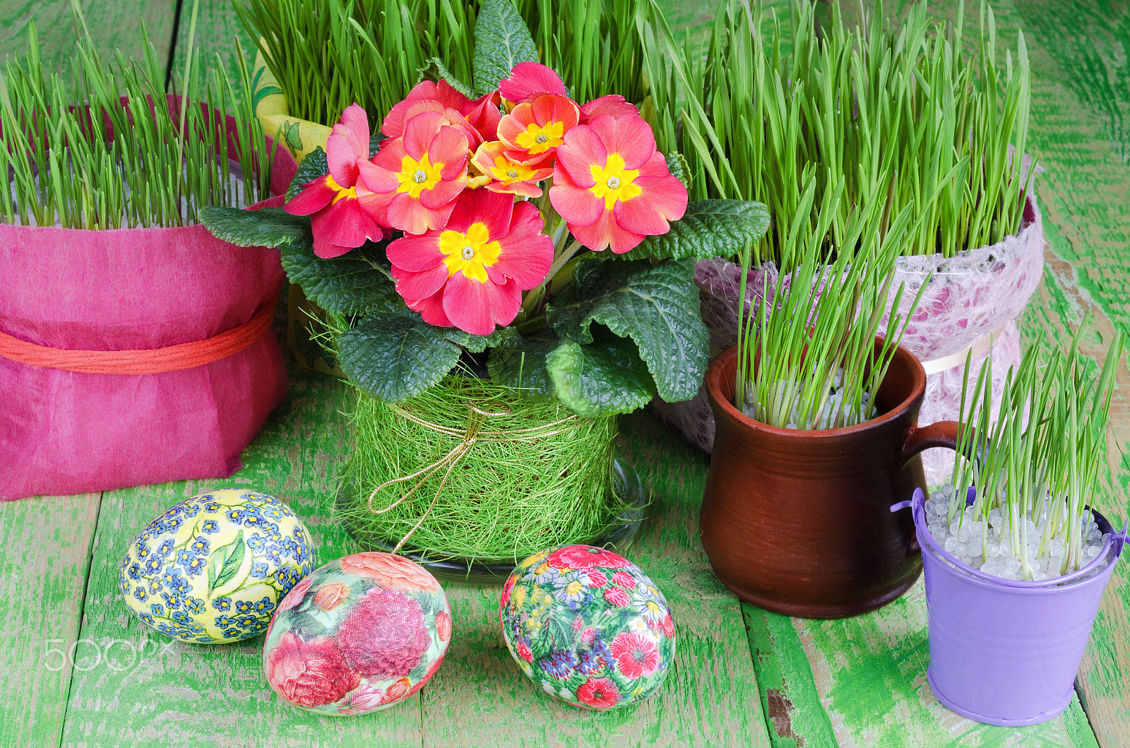 Nikon D7000 sample photo. Potted plants and easter eggs photography