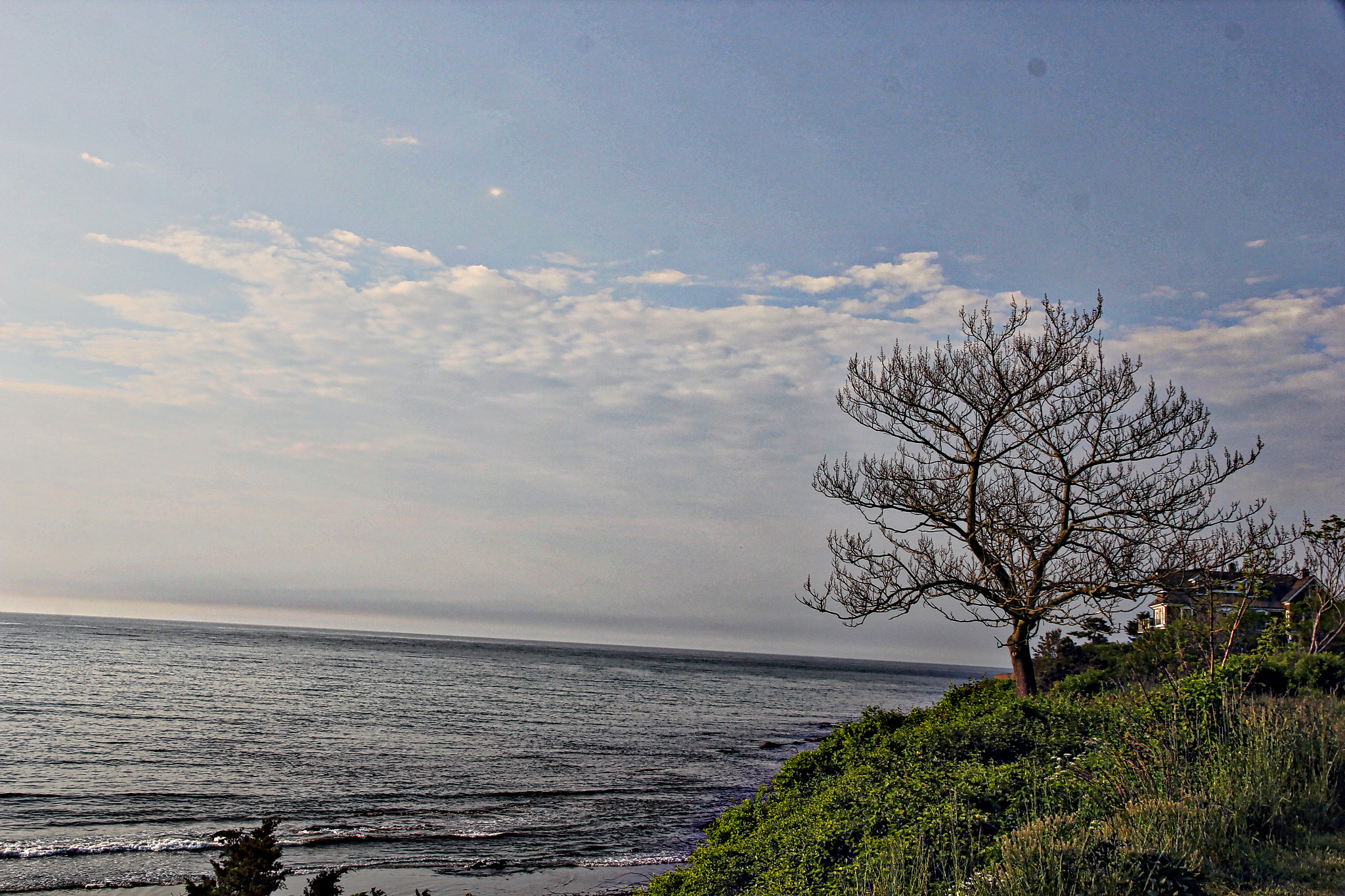 Canon EOS 60D sample photo. Img photography
