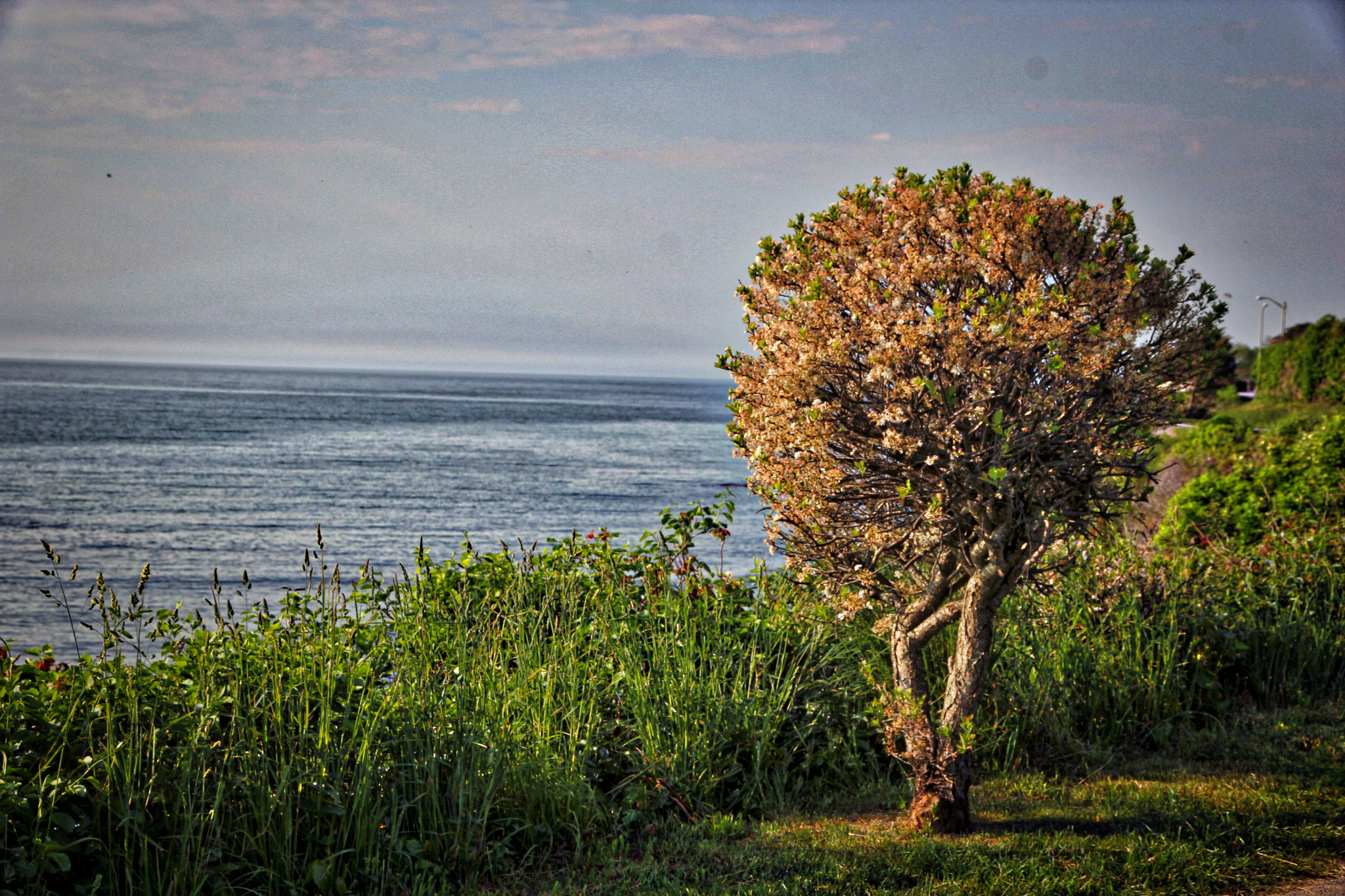 Canon EOS 60D sample photo. Img photography