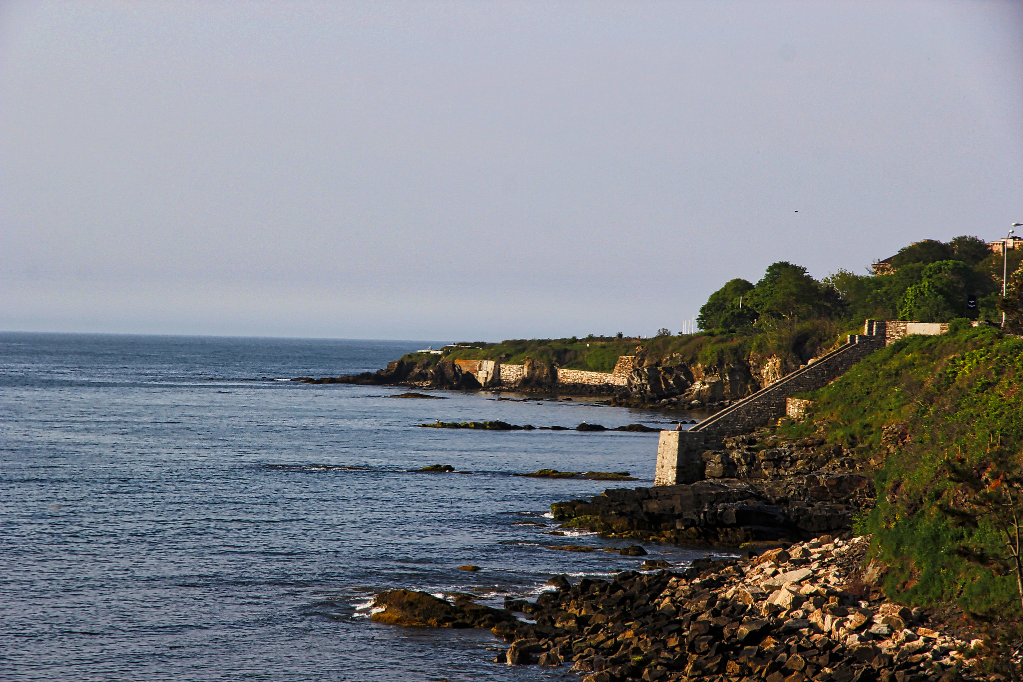 Canon EOS 60D sample photo. Img photography