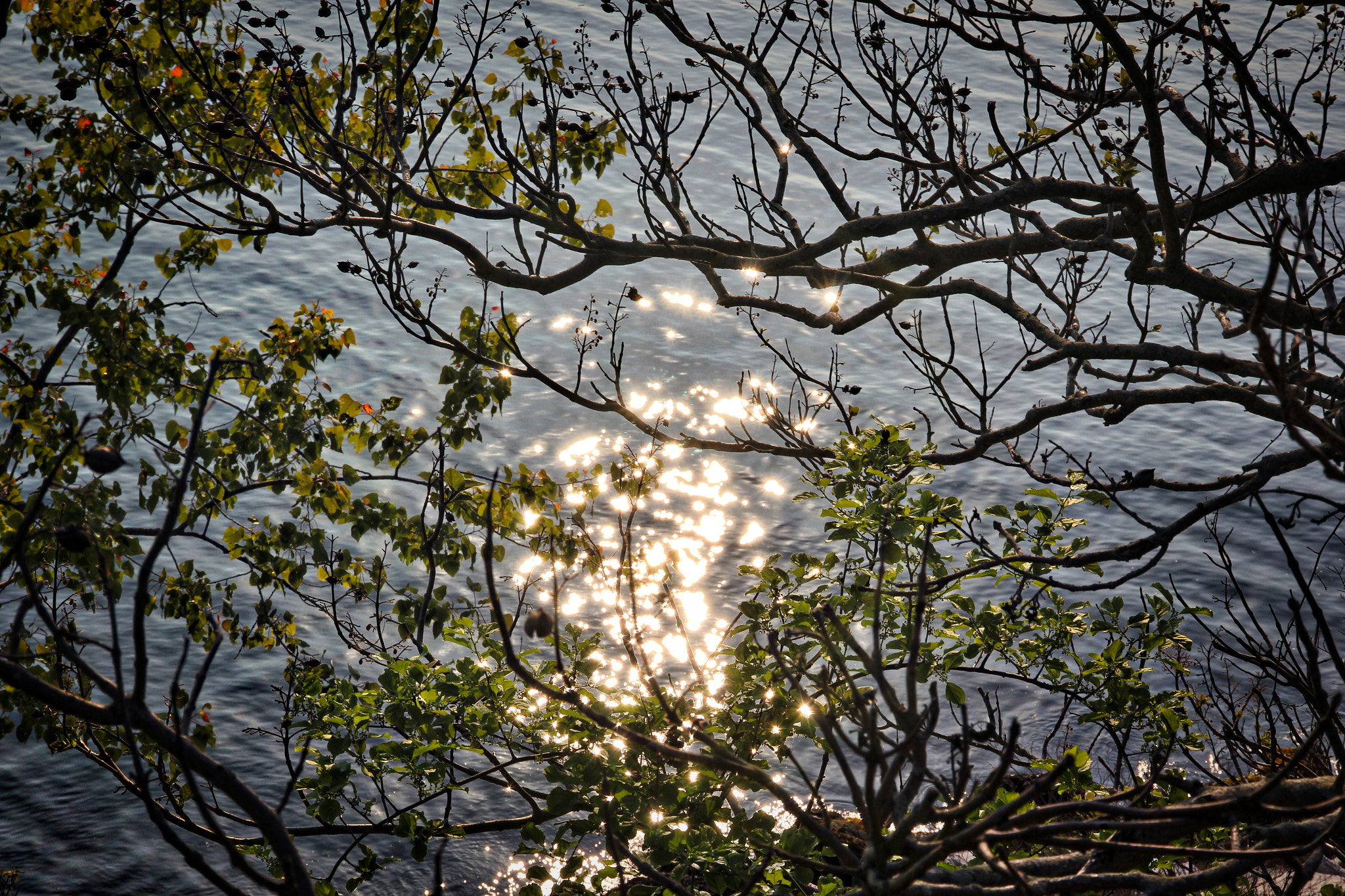 Canon EOS 60D sample photo. Img photography