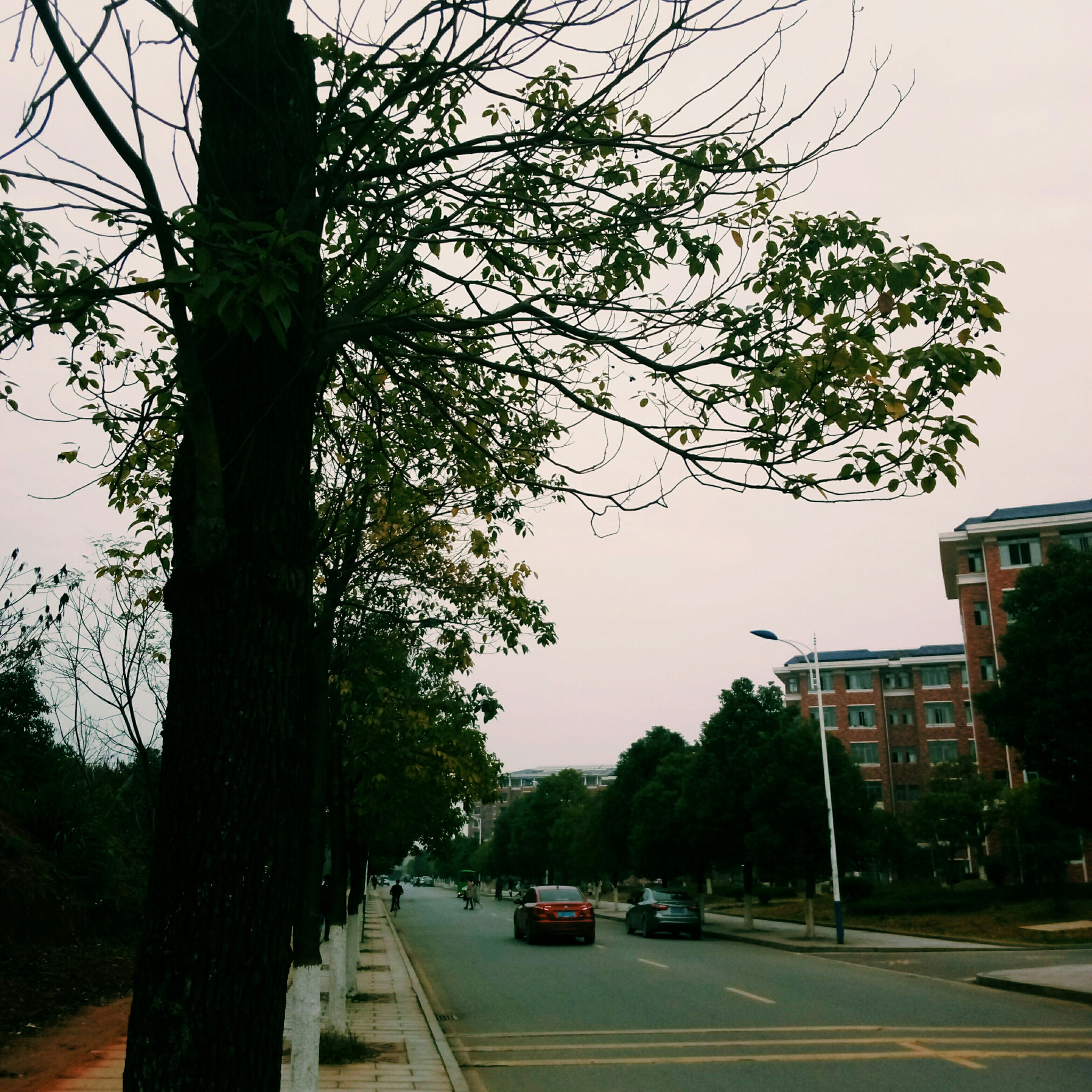 Meizu m3 note sample photo