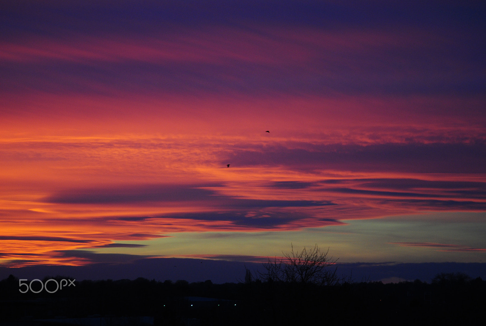 Sigma 70-300mm F4-5.6 APO DG Macro sample photo. Pink sunset photography