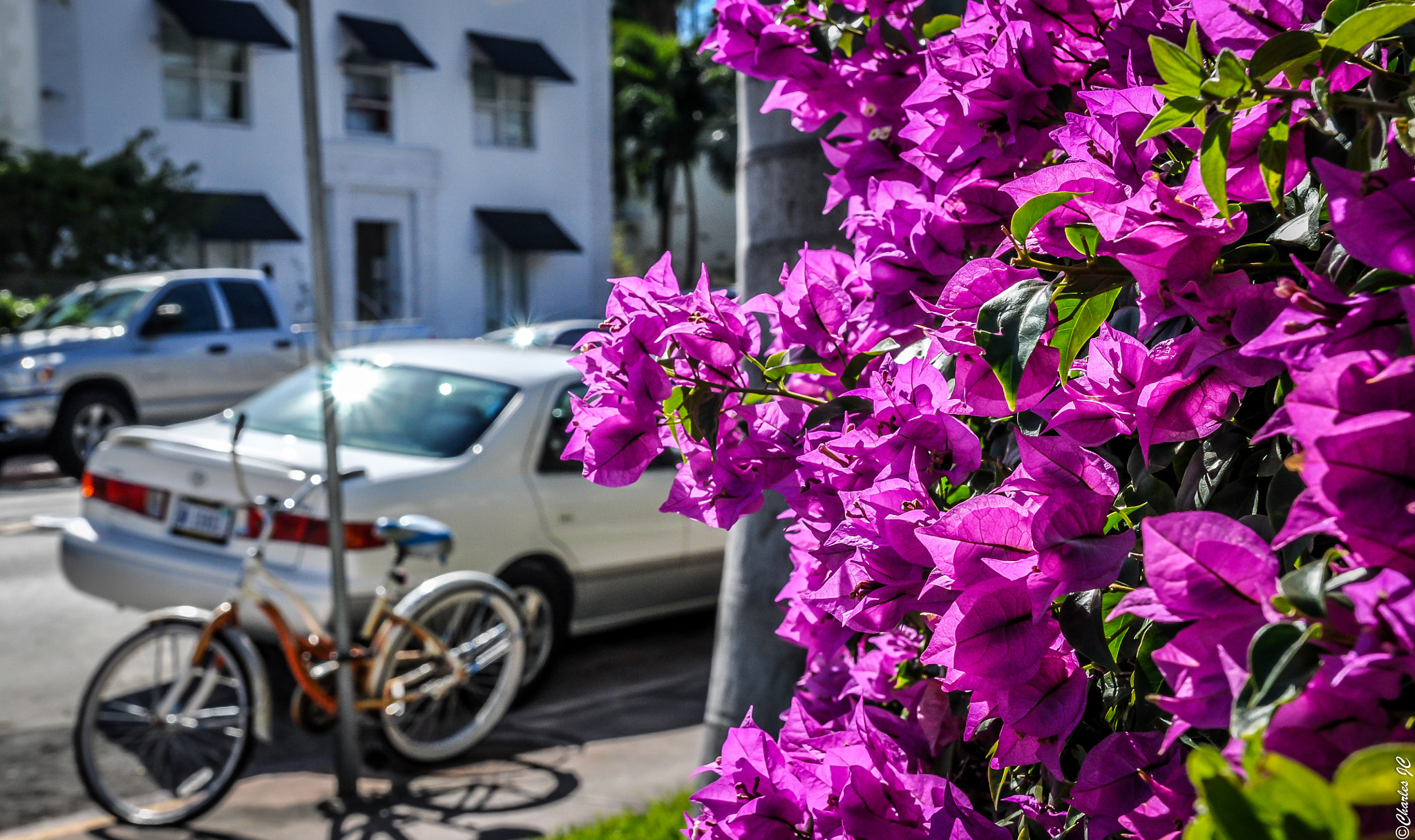 Nikon D5000 sample photo. Half photography