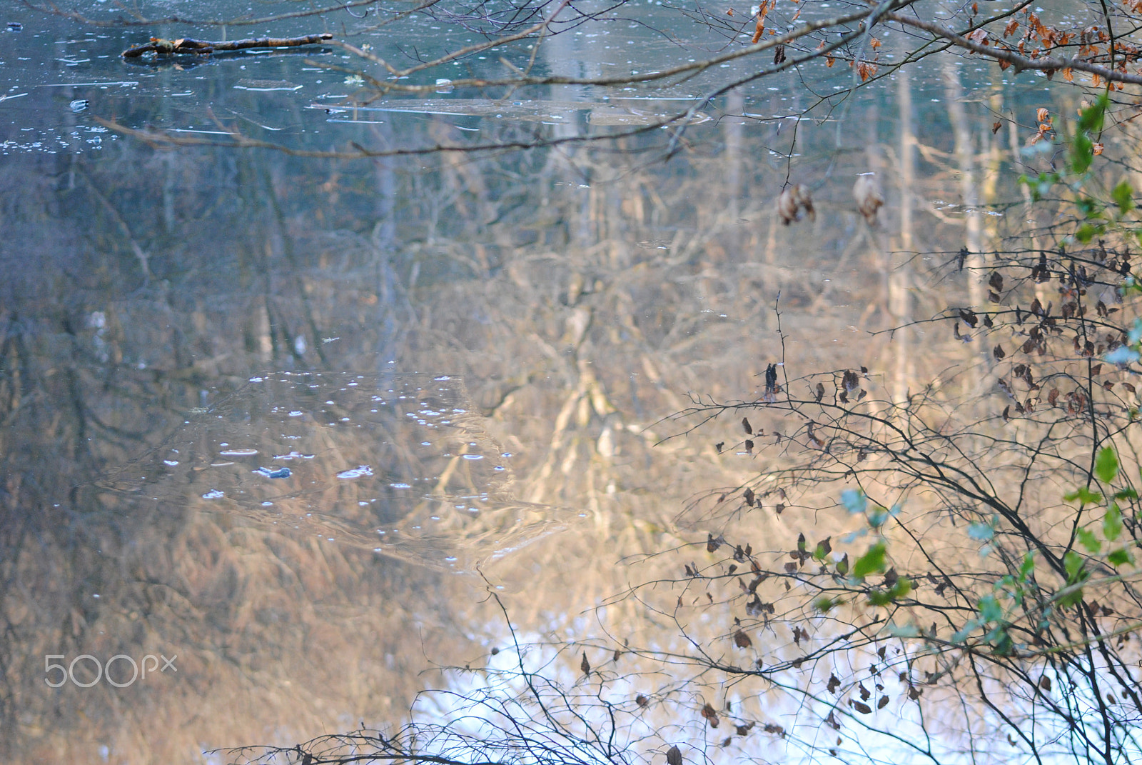 Nikon D3000 + Sigma 70-300mm F4-5.6 APO DG Macro sample photo. Reflection photography