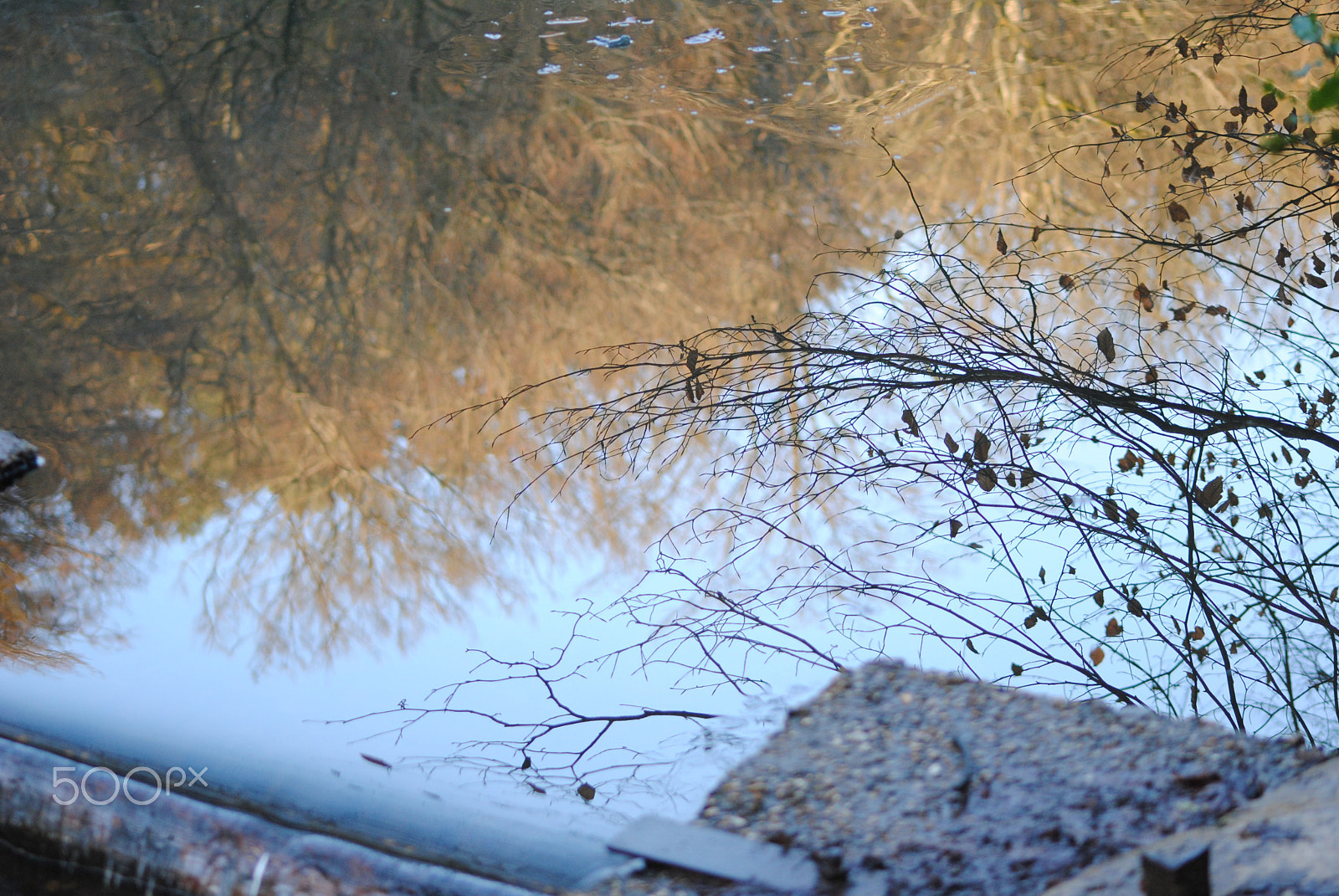 Nikon D3000 + Sigma 70-300mm F4-5.6 APO DG Macro sample photo. Mirror water photography