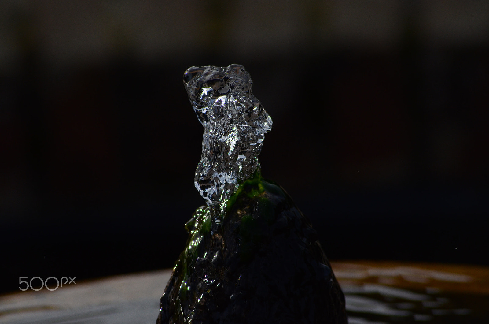 Sigma 70-300mm F4-5.6 APO DG Macro sample photo. Frozen in time (5) photography