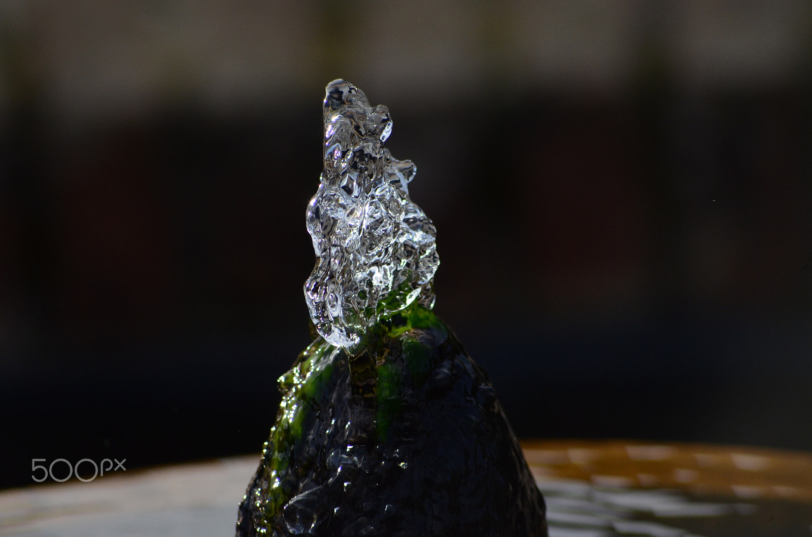 Sigma 70-300mm F4-5.6 APO DG Macro sample photo. Frozen in time (4) photography