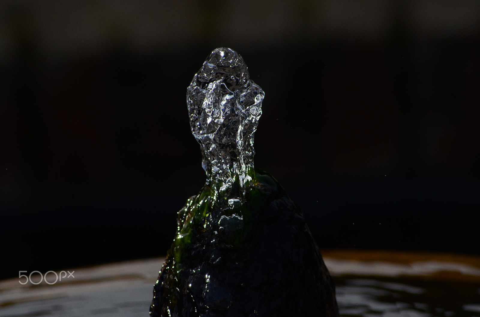 Sigma 70-300mm F4-5.6 APO DG Macro sample photo. Frozen in time (2) photography