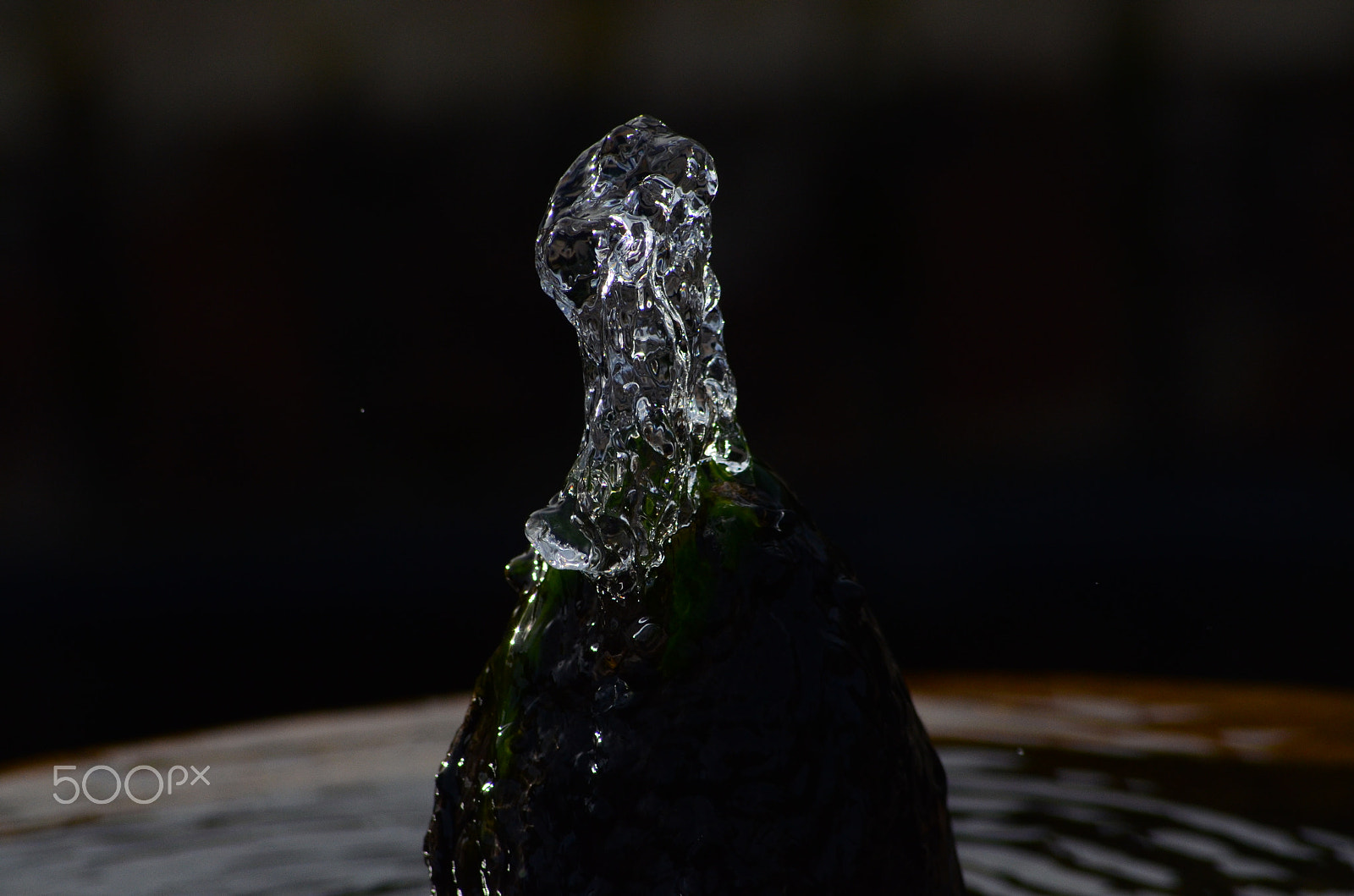 Sigma 70-300mm F4-5.6 APO DG Macro sample photo. Frozen in time (1) photography