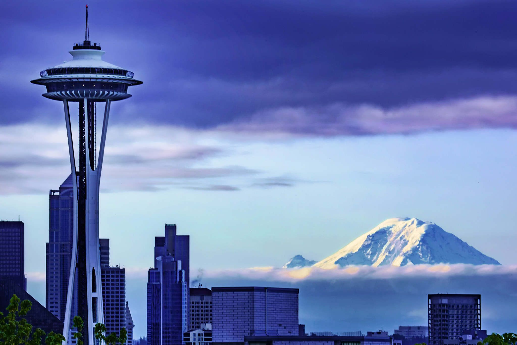 Canon EF 100-400mm F4.5-5.6L IS USM sample photo. Seattle needle photography