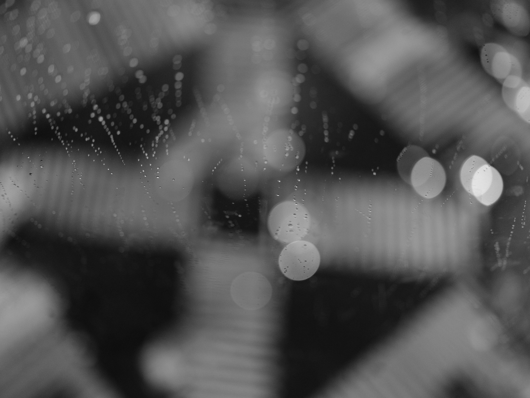 Fujifilm GFX 50S + Fujifilm GF 63mm F2.8 R WR sample photo. Raindrops keep fallin' on my head photography