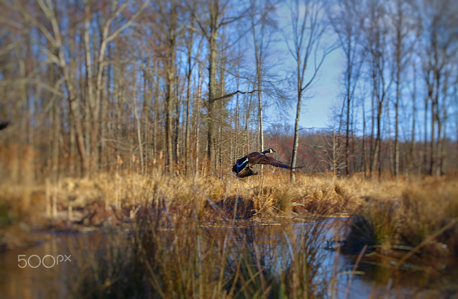 Canon EF 28-105mm f/3.5-4.5 USM sample photo. Morning takeoff photography