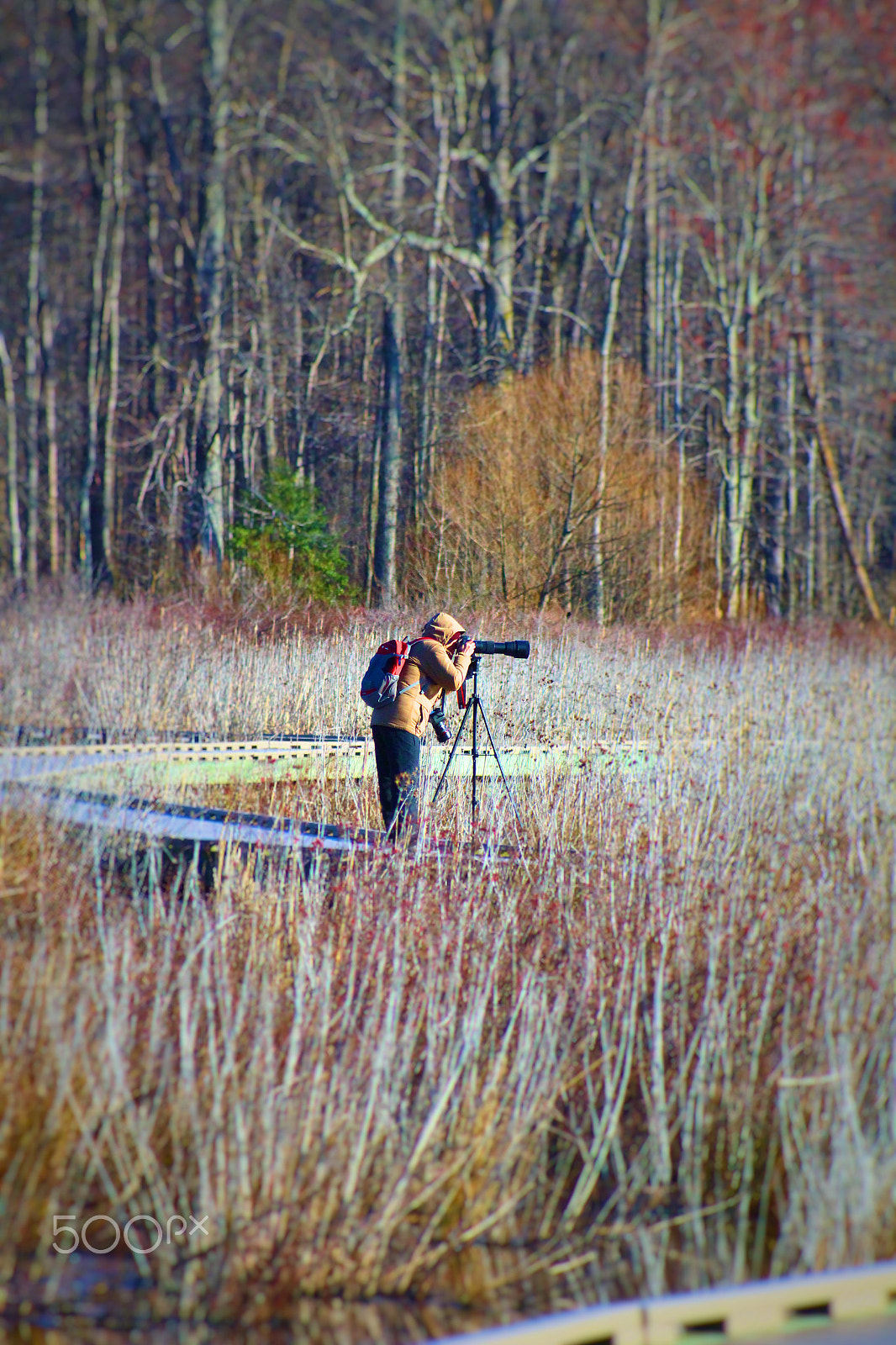 Canon EF 80-200mm F4.5-5.6 II sample photo. Morning photography photography