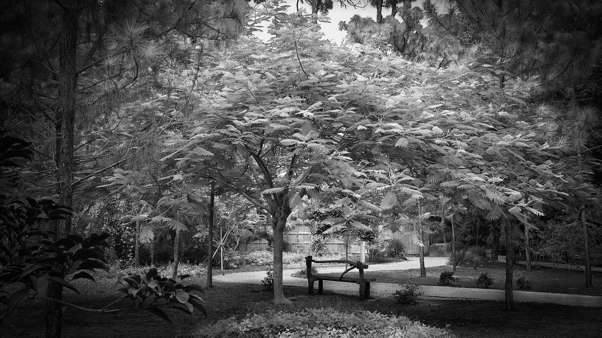 Fujifilm X-E1 sample photo. Park bench photography