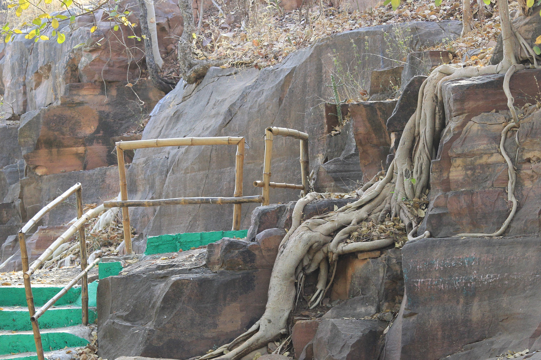 Canon EOS 60D sample photo