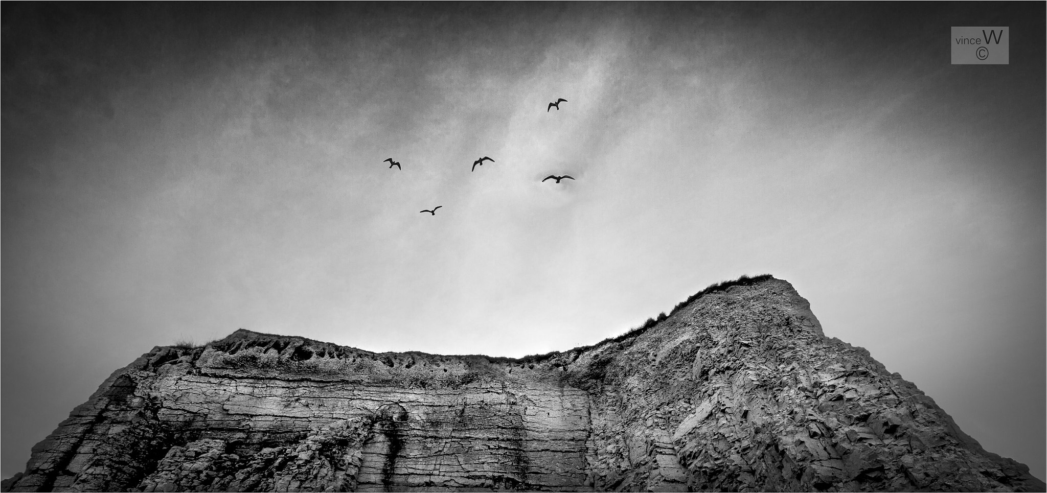 Canon EOS 7D + Canon EF-S 10-18mm F4.5–5.6 IS STM sample photo. The birds.... photography