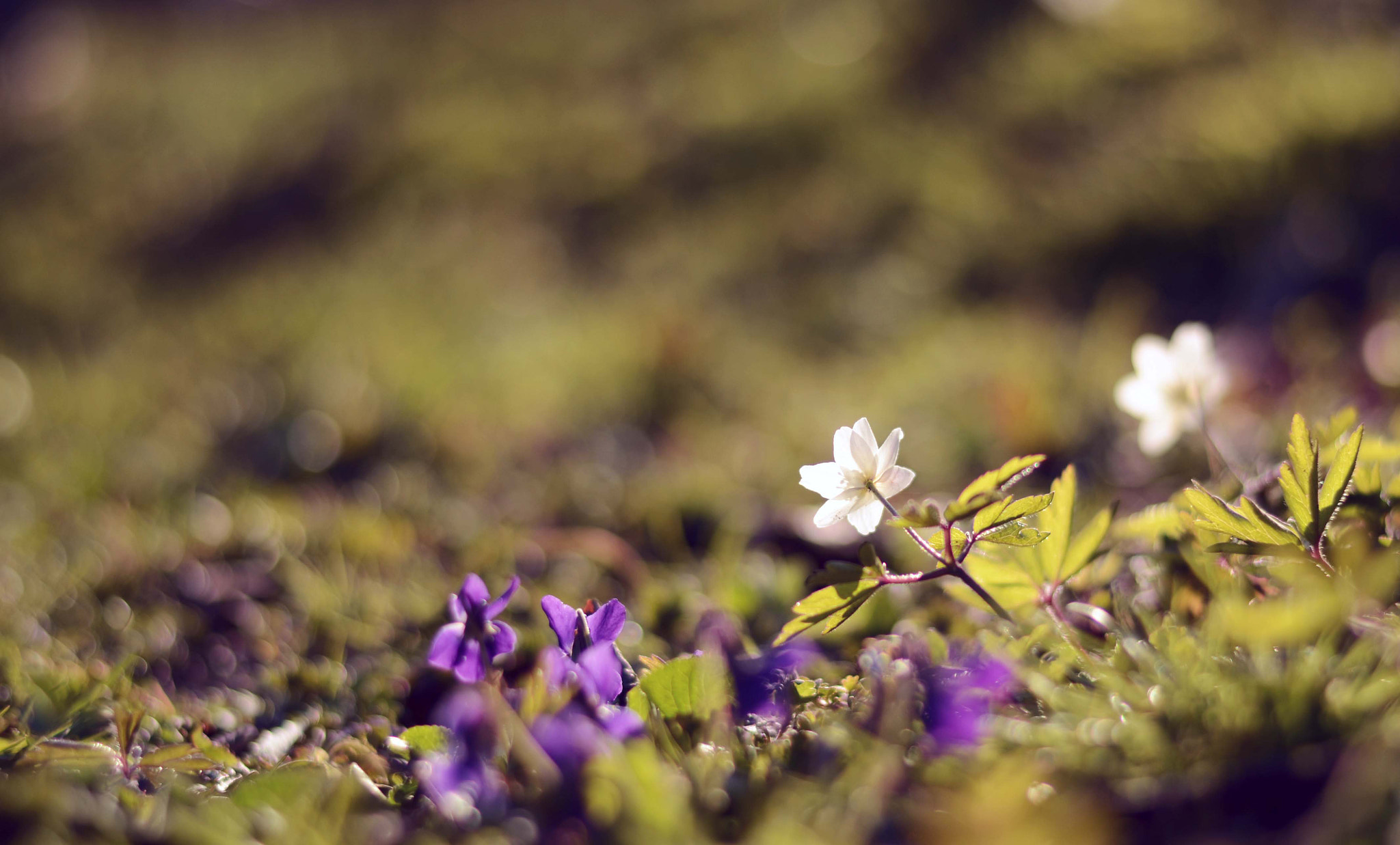 Nikon D7000 + Nikon AF-S Nikkor 50mm F1.8G sample photo. Is the sun in your eyes? photography