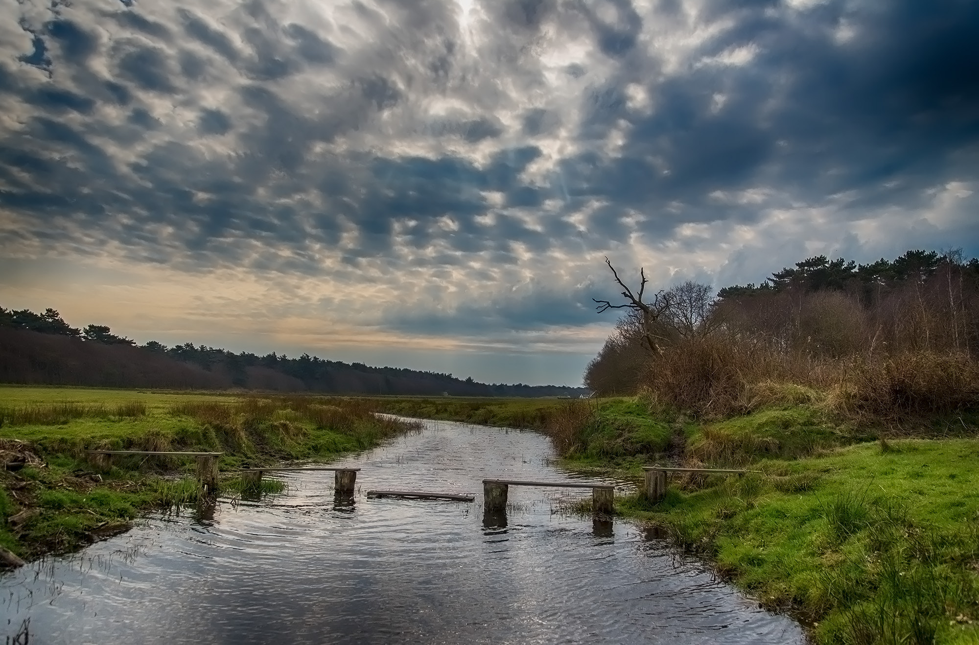 Nikon D600 sample photo. Landschap texel photography