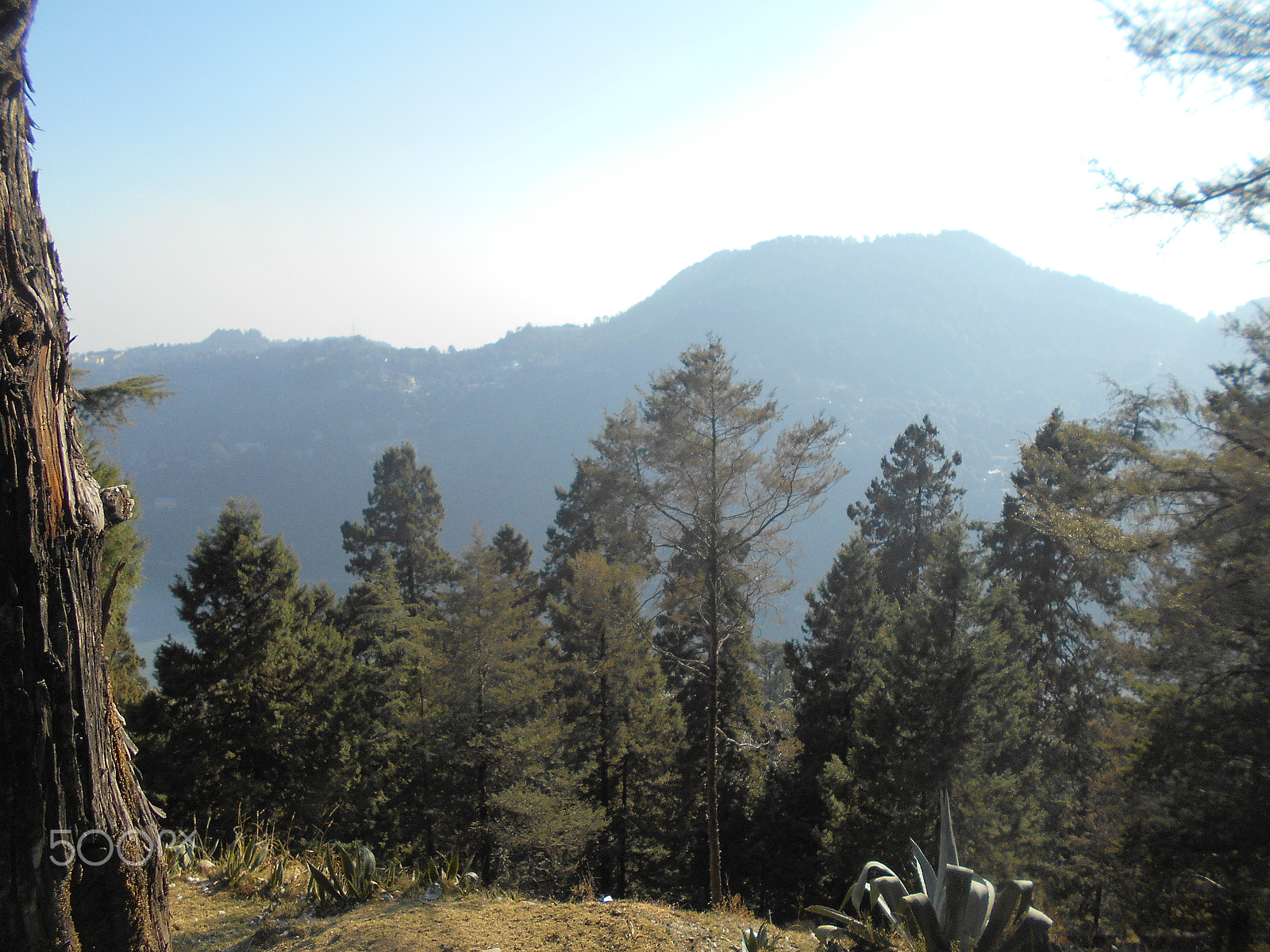 Nikon COOLPIX L30 sample photo. Nainital mountain view photography