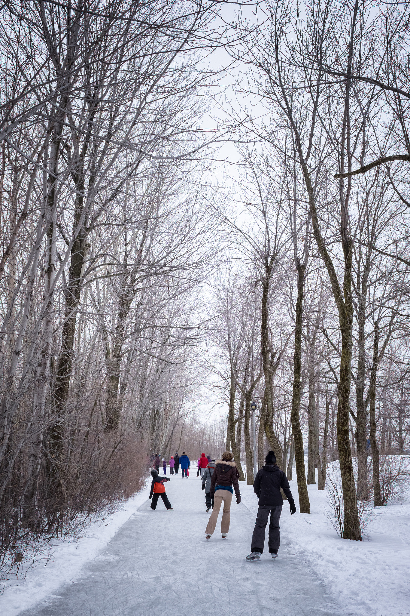 Fujifilm X-T1 + ZEISS Touit 32mm F1.8 sample photo. Skating. photography