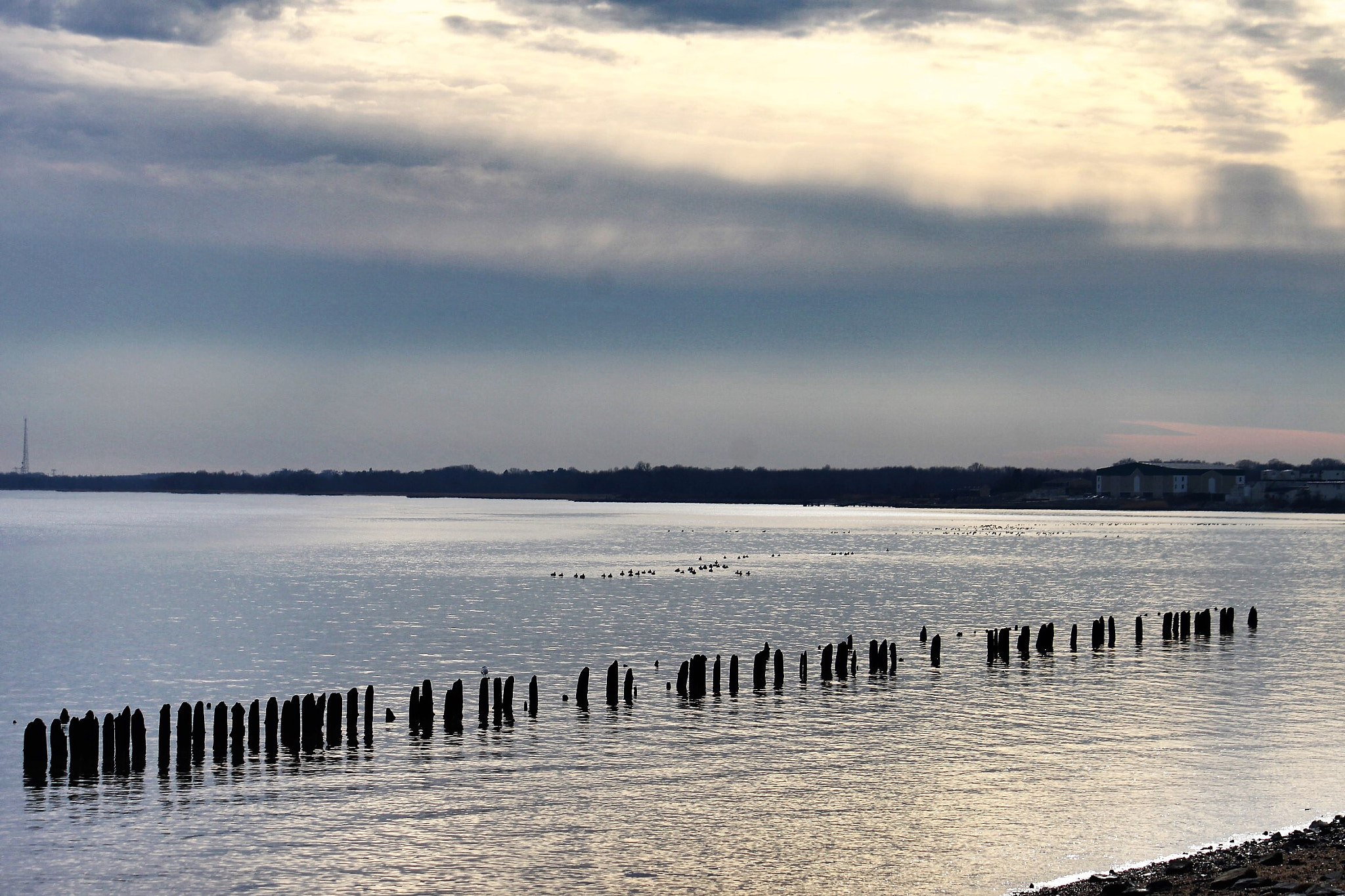 Canon EF-S 55-250mm F4-5.6 IS sample photo