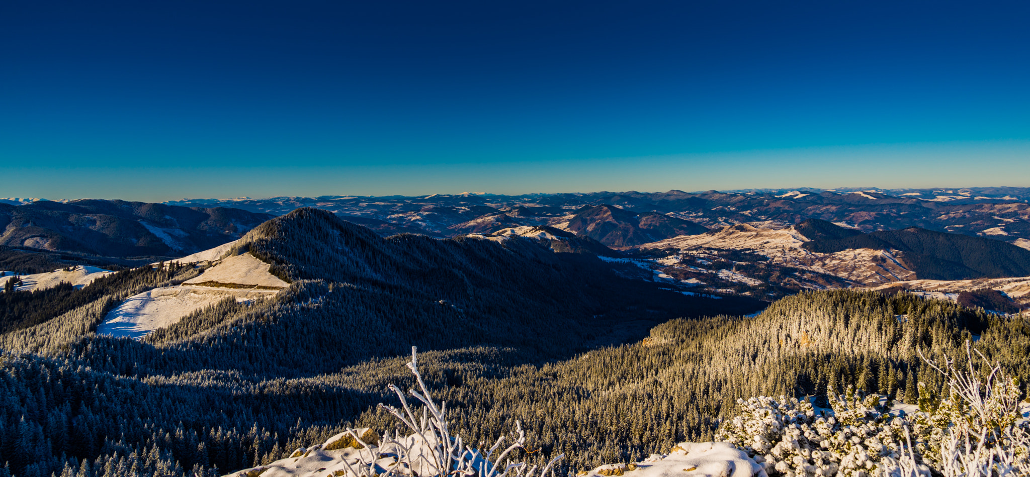 Nikon D600 sample photo. Winter view photography