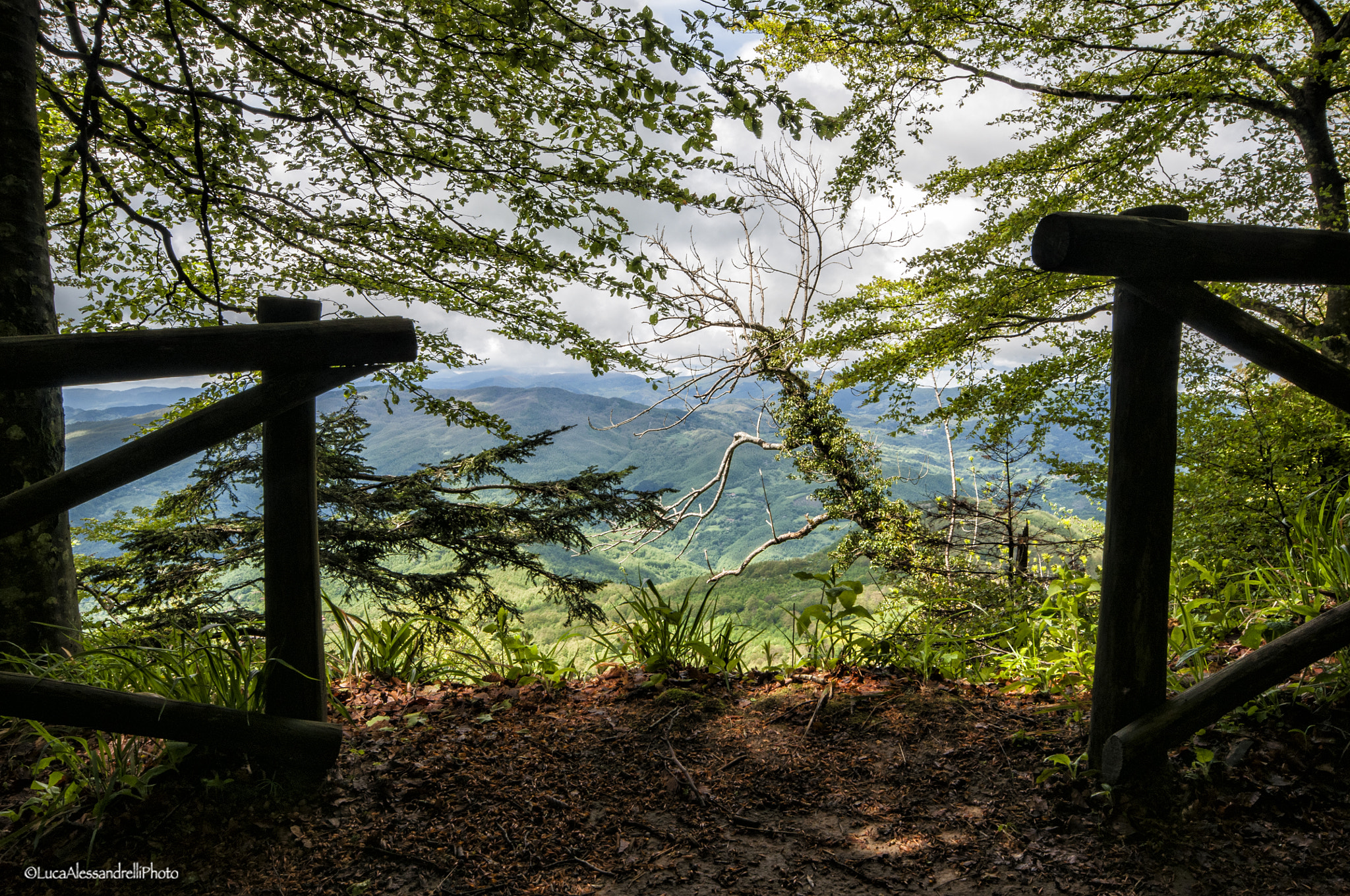 Sigma 10-20mm F4-5.6 EX DC HSM sample photo. The passage - foreste casentinesi (italy) photography