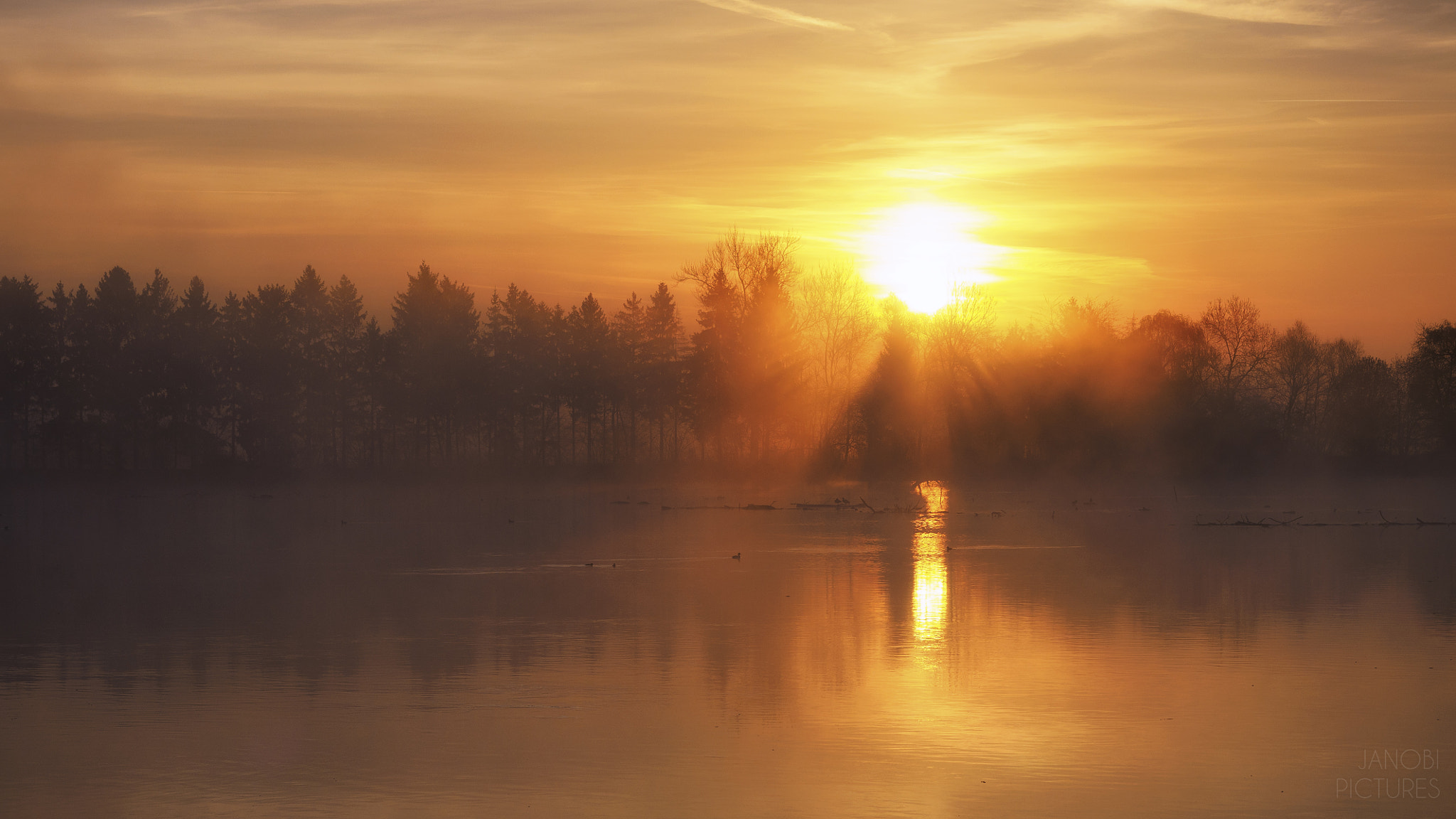 Olympus OM-D E-M5 II + Olympus M.Zuiko Digital ED 12-40mm F2.8 Pro sample photo. ~ sunrise ~ photography