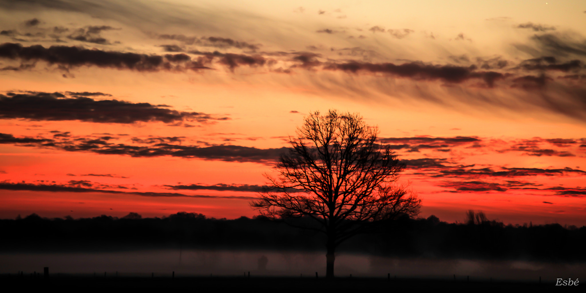 Canon EF 70-200mm F4L IS USM sample photo. Creeping mist photography