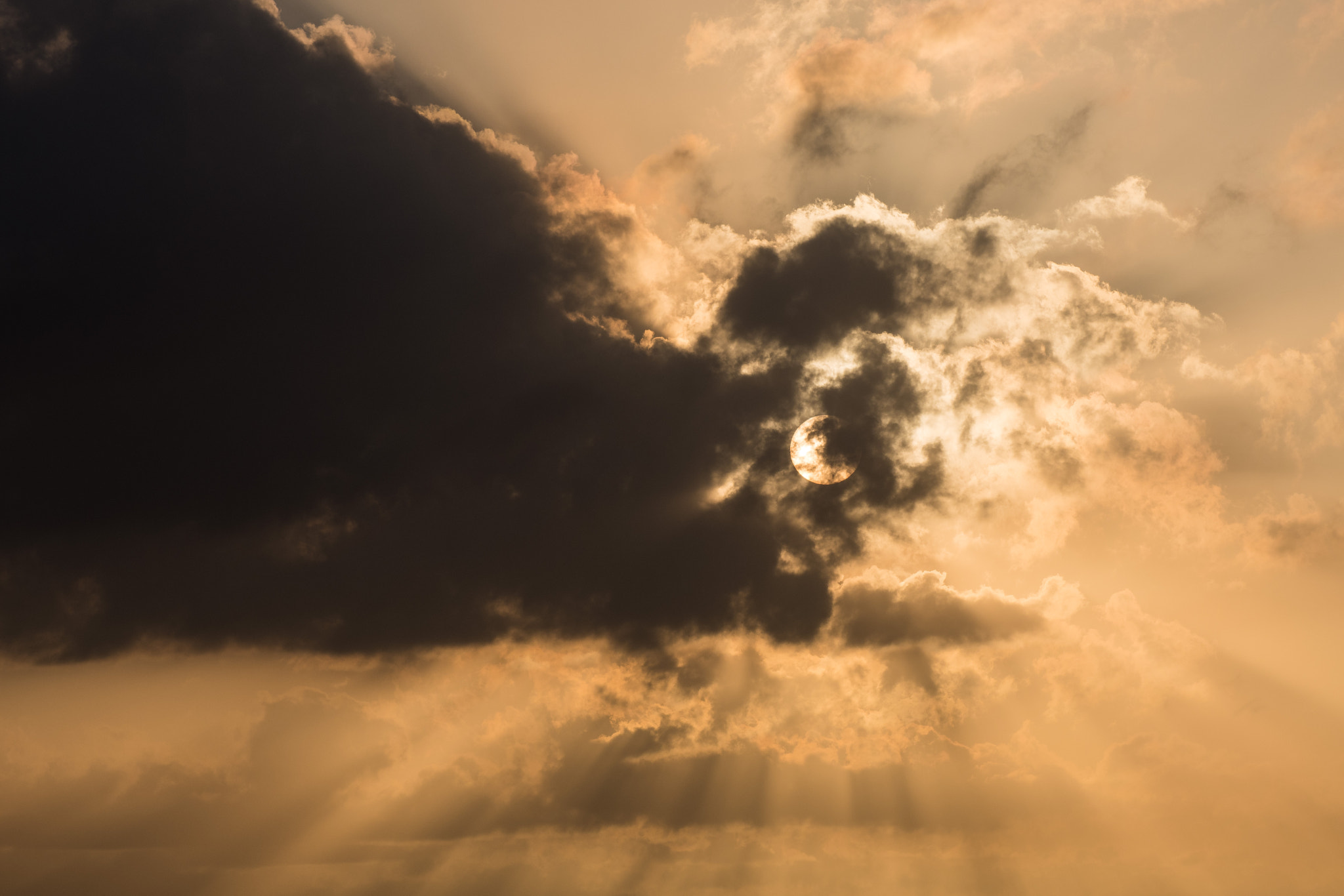 Nikon D500 sample photo. Shining thru photography