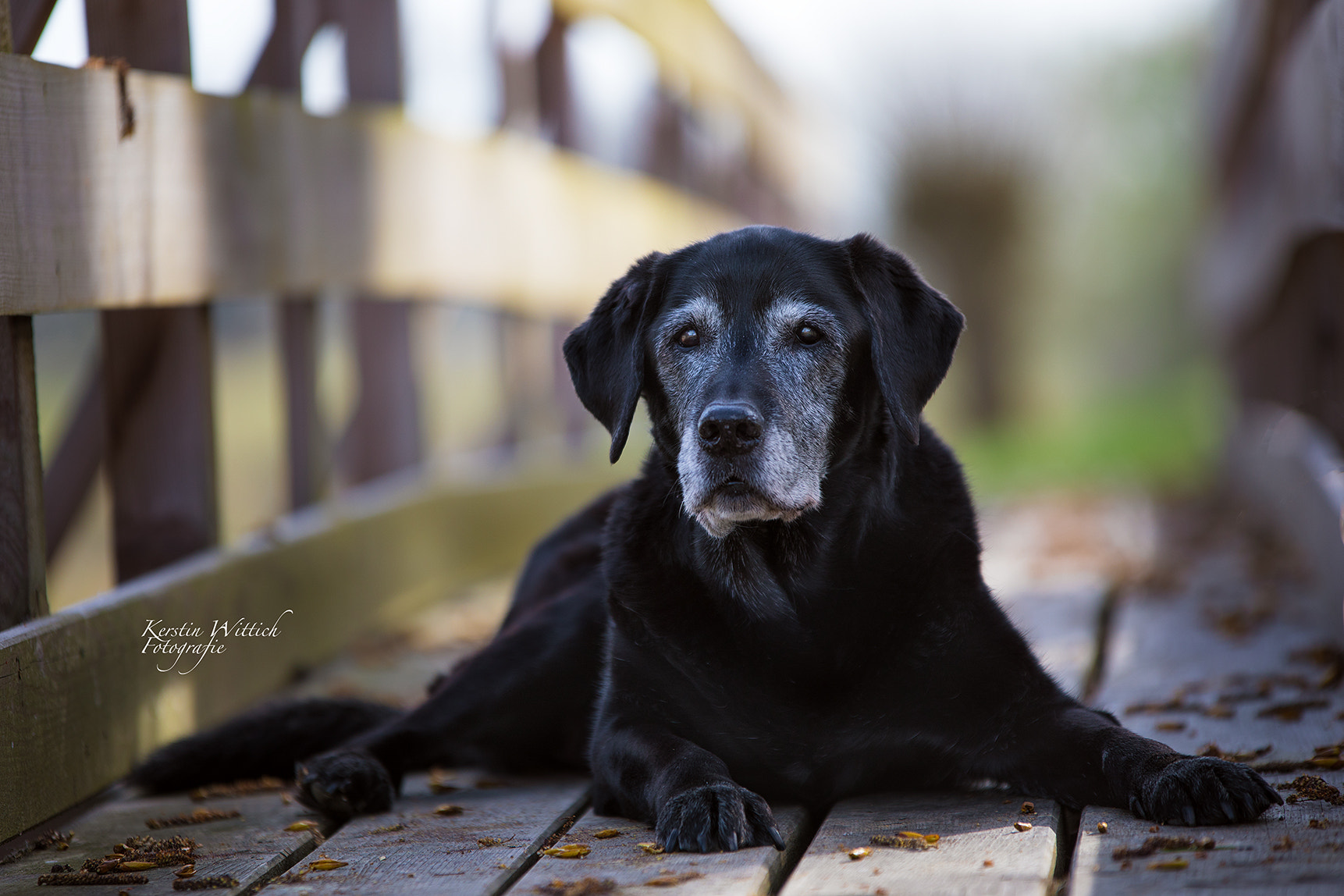 Sigma 70-200mm F2.8 EX DG OS HSM sample photo. Charly photography