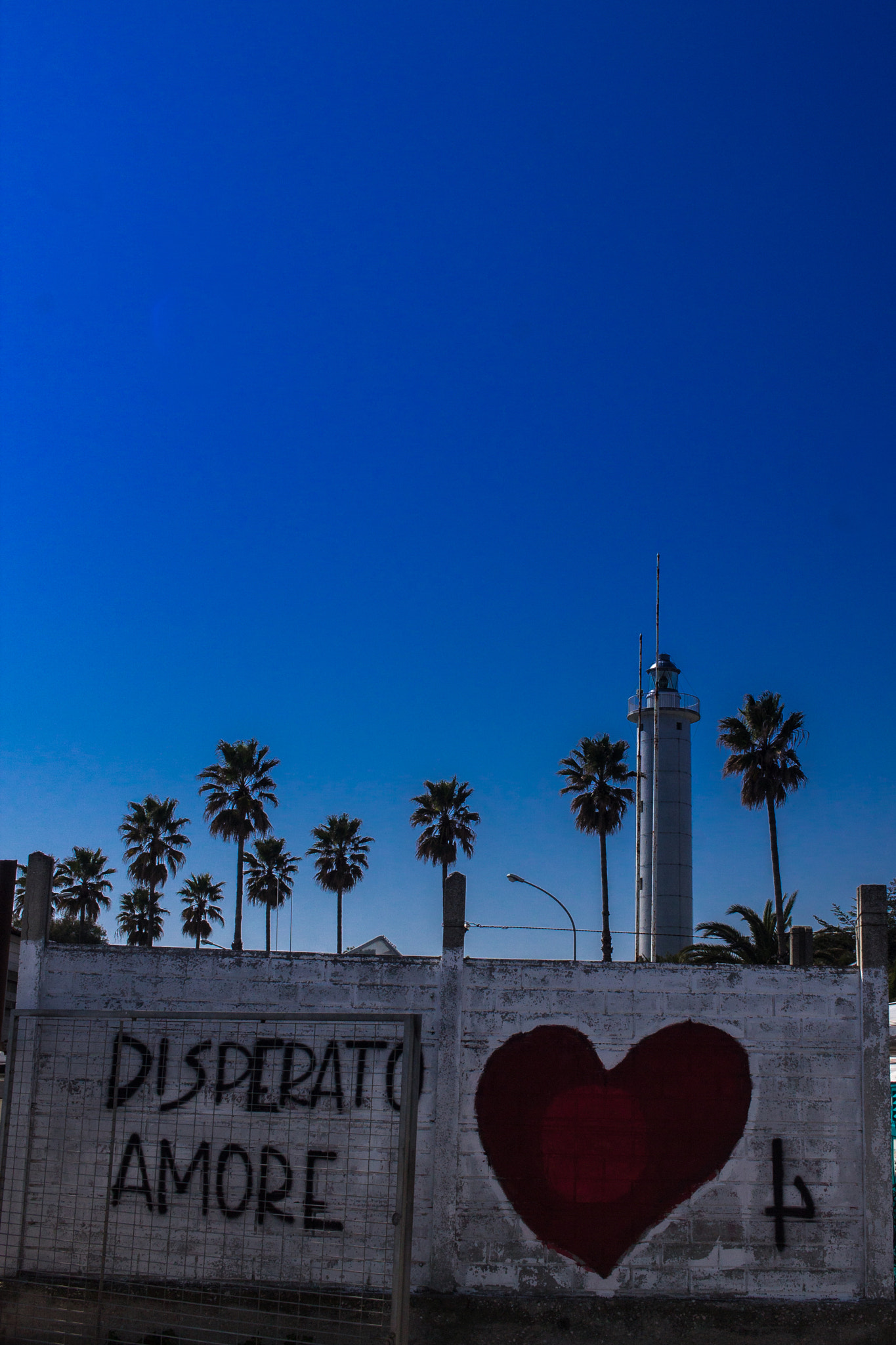 Canon EF-S 24mm F2.8 STM sample photo. #murales photography
