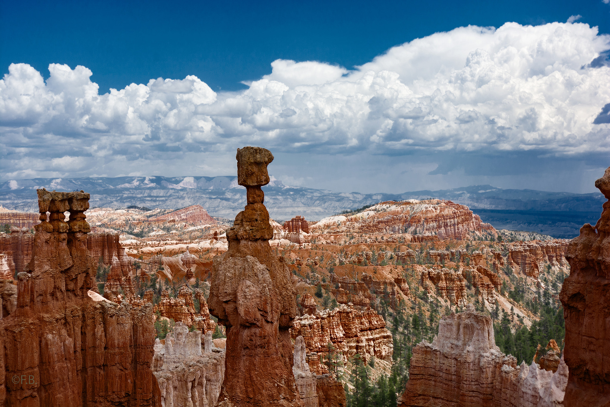 Nikon D7100 sample photo. Million years are not forever photography