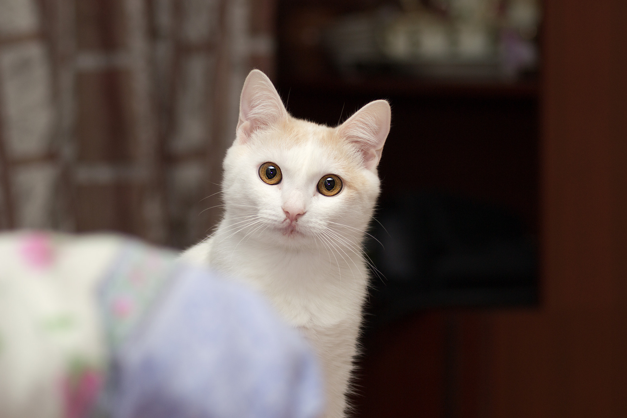 Nikon D3100 sample photo. ... photography