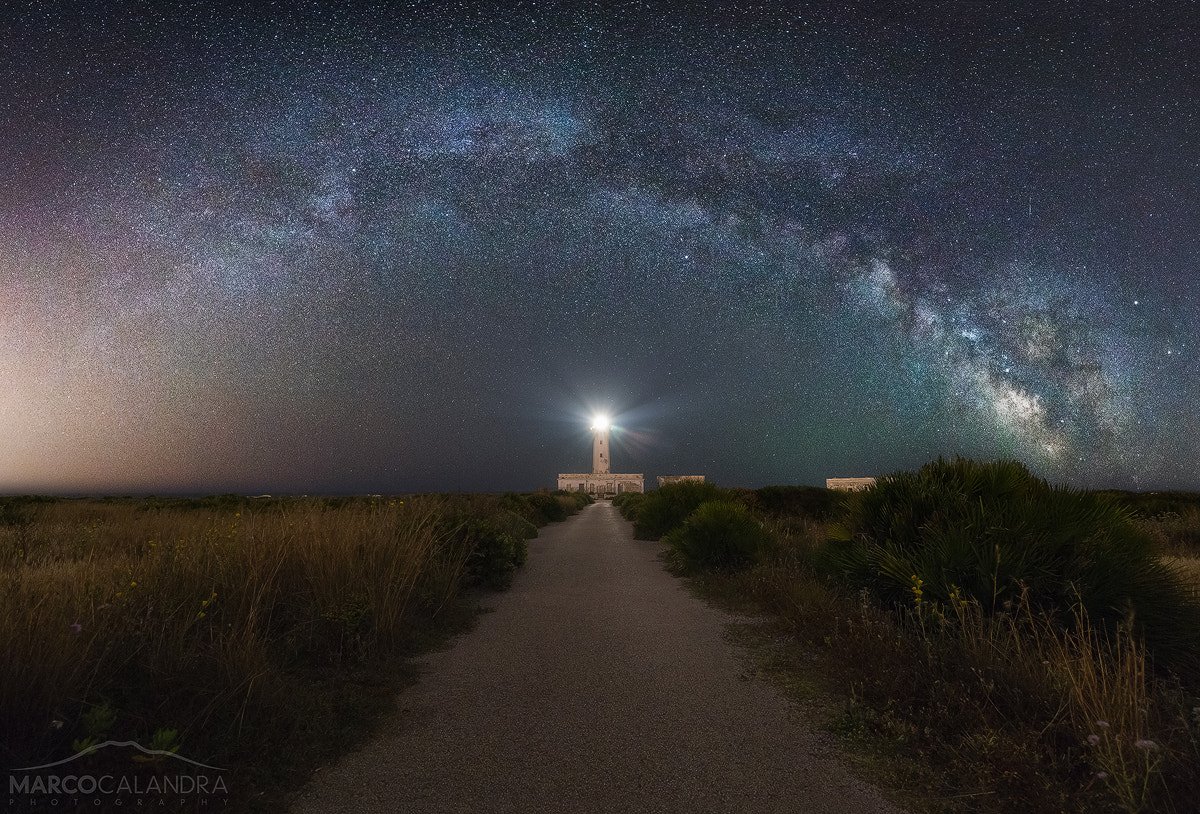 Nikon D750 sample photo. The guardian of the stars photography