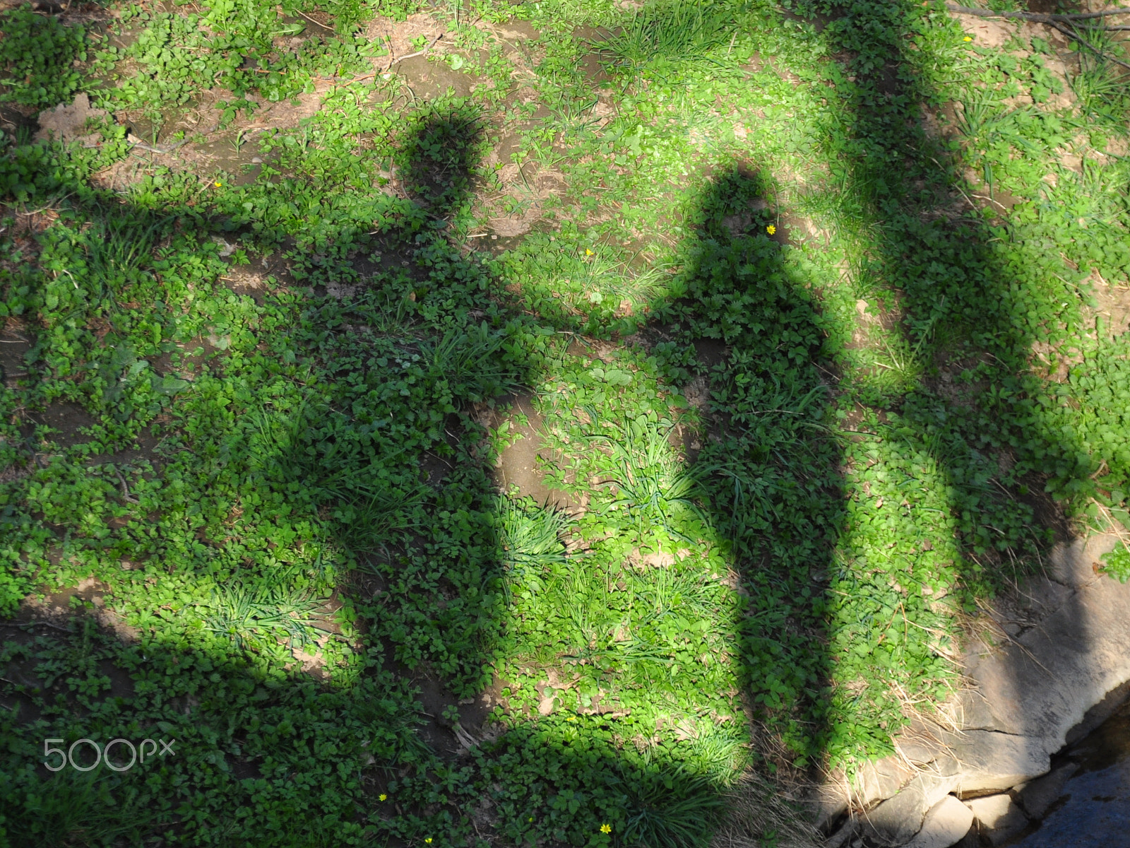Nikon D5000 sample photo. Shadows photography