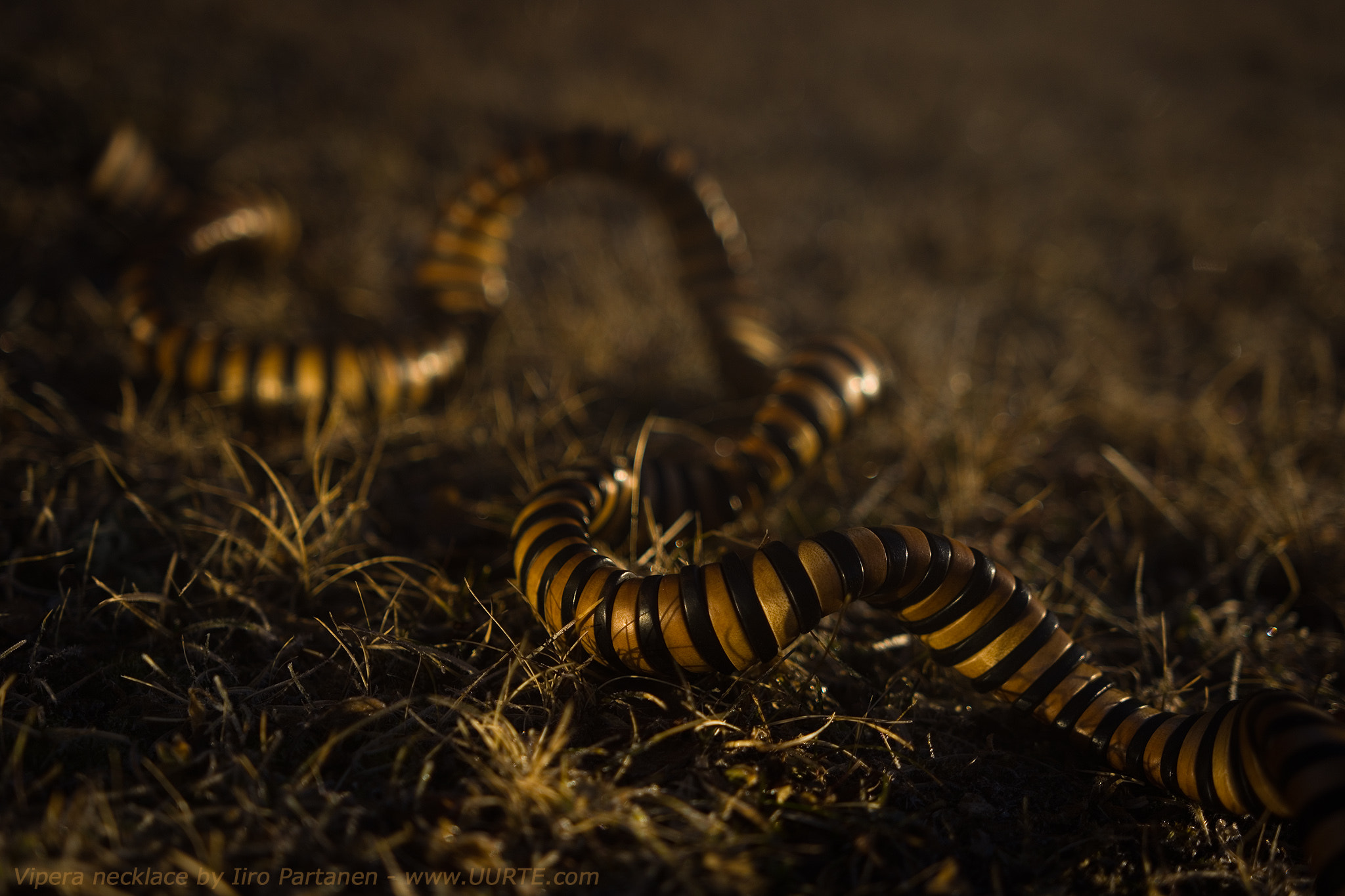 Sigma 18-35mm F1.8 DC HSM Art sample photo. Viperamidnight photography