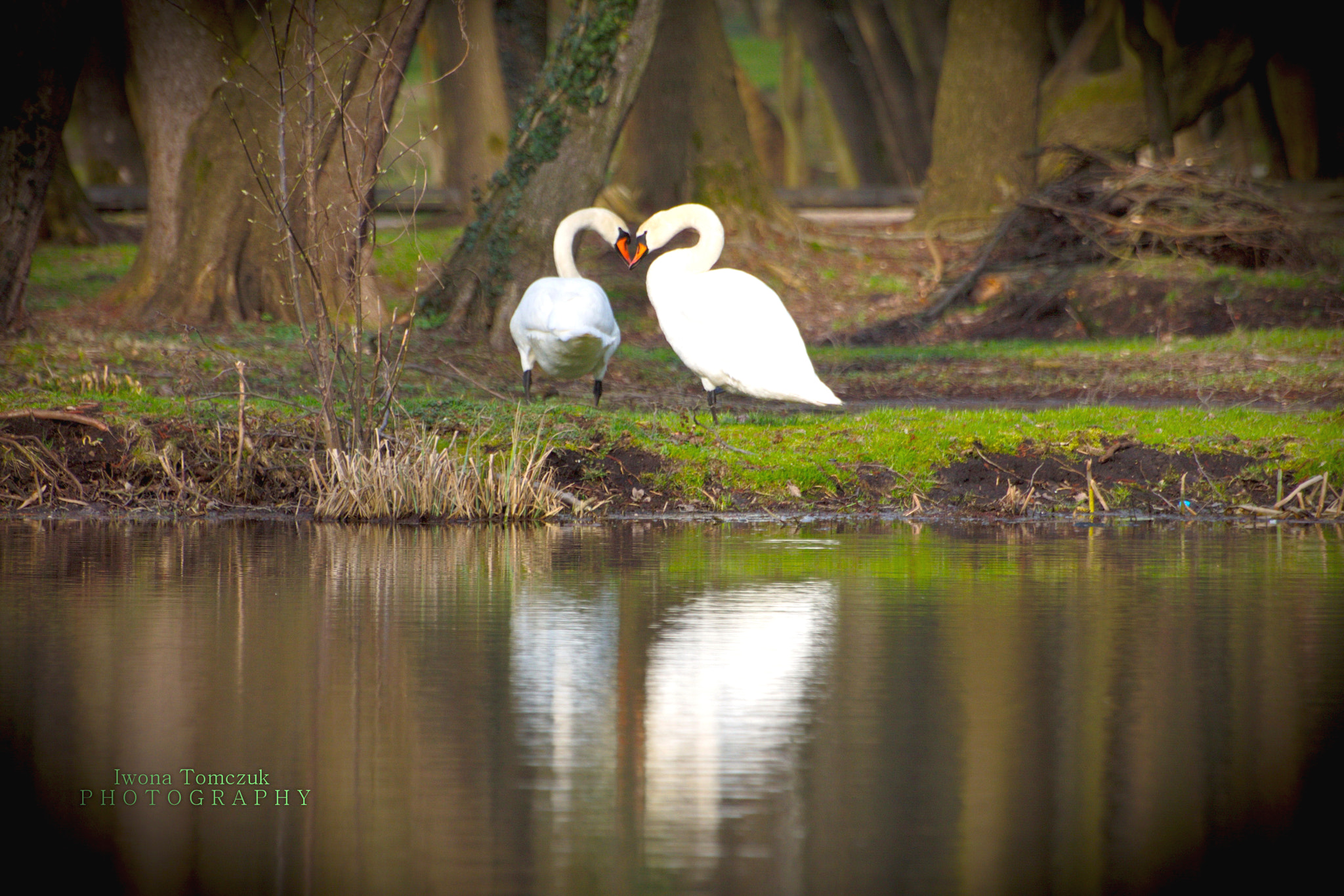Sigma 70-300mm F4-5.6 APO DG Macro sample photo. Konstancin photography