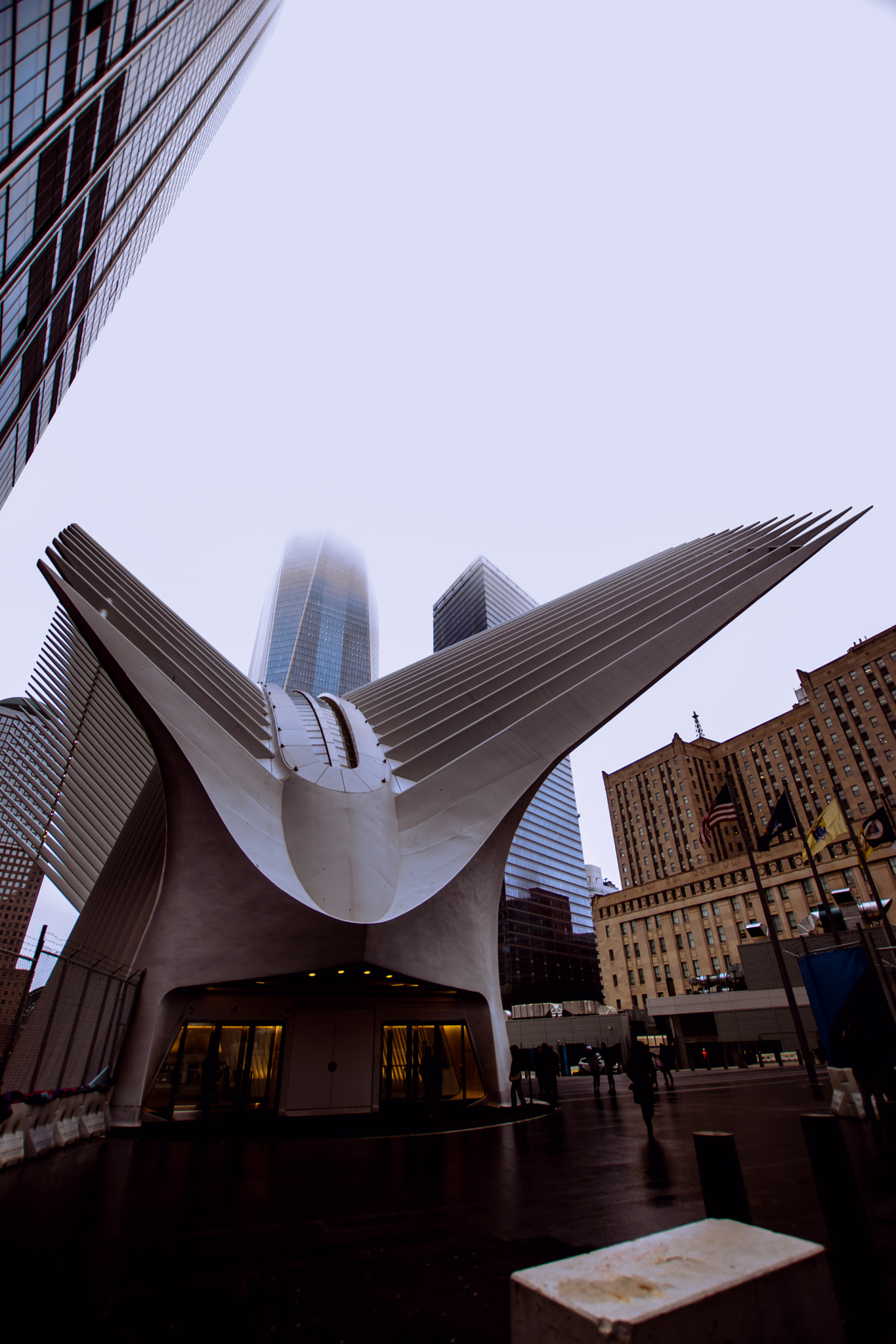 Sigma 10-20mm F3.5 EX DC HSM sample photo. Oculus photography