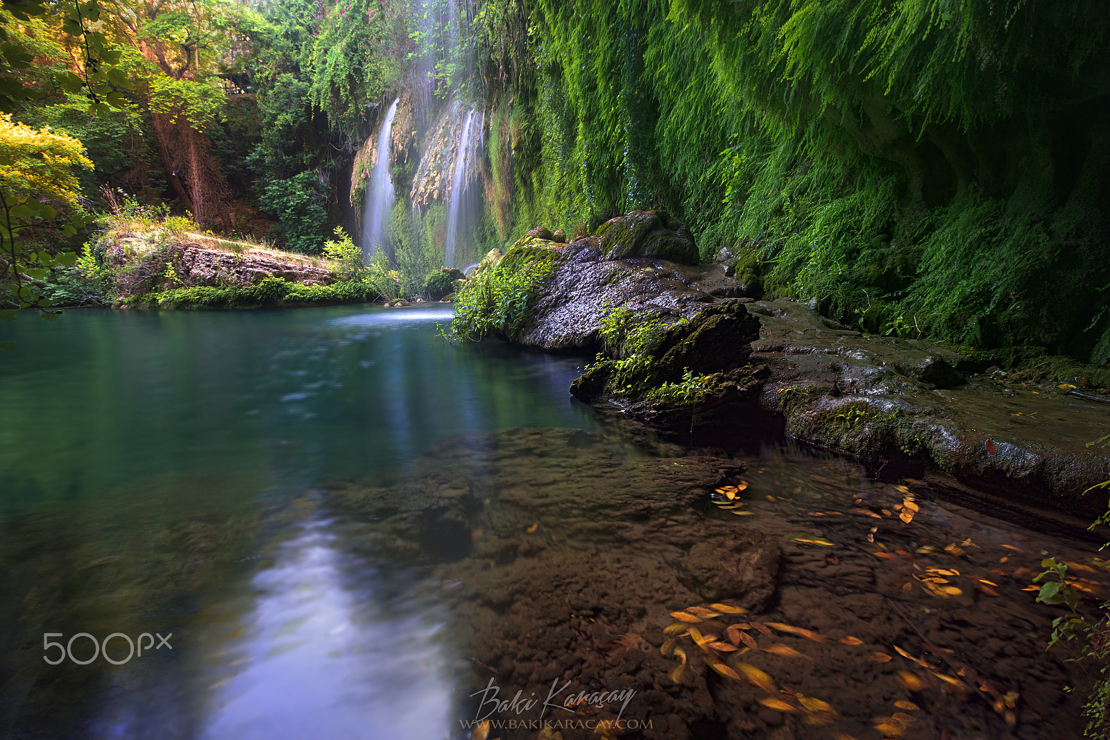 Canon EOS 60D sample photo. Mother nature photography